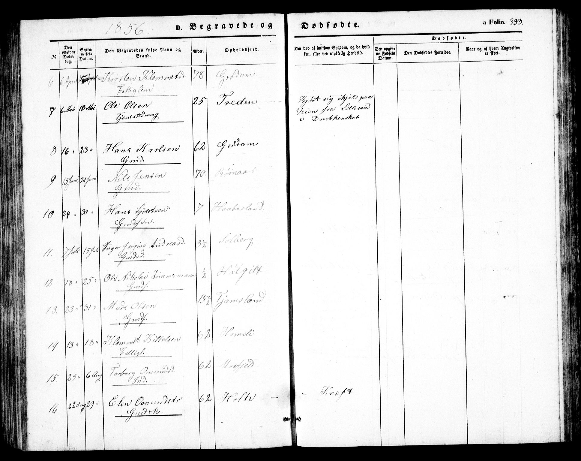 Birkenes sokneprestkontor, AV/SAK-1111-0004/F/Fb/L0002: Parish register (copy) no. B 2, 1849-1876, p. 333