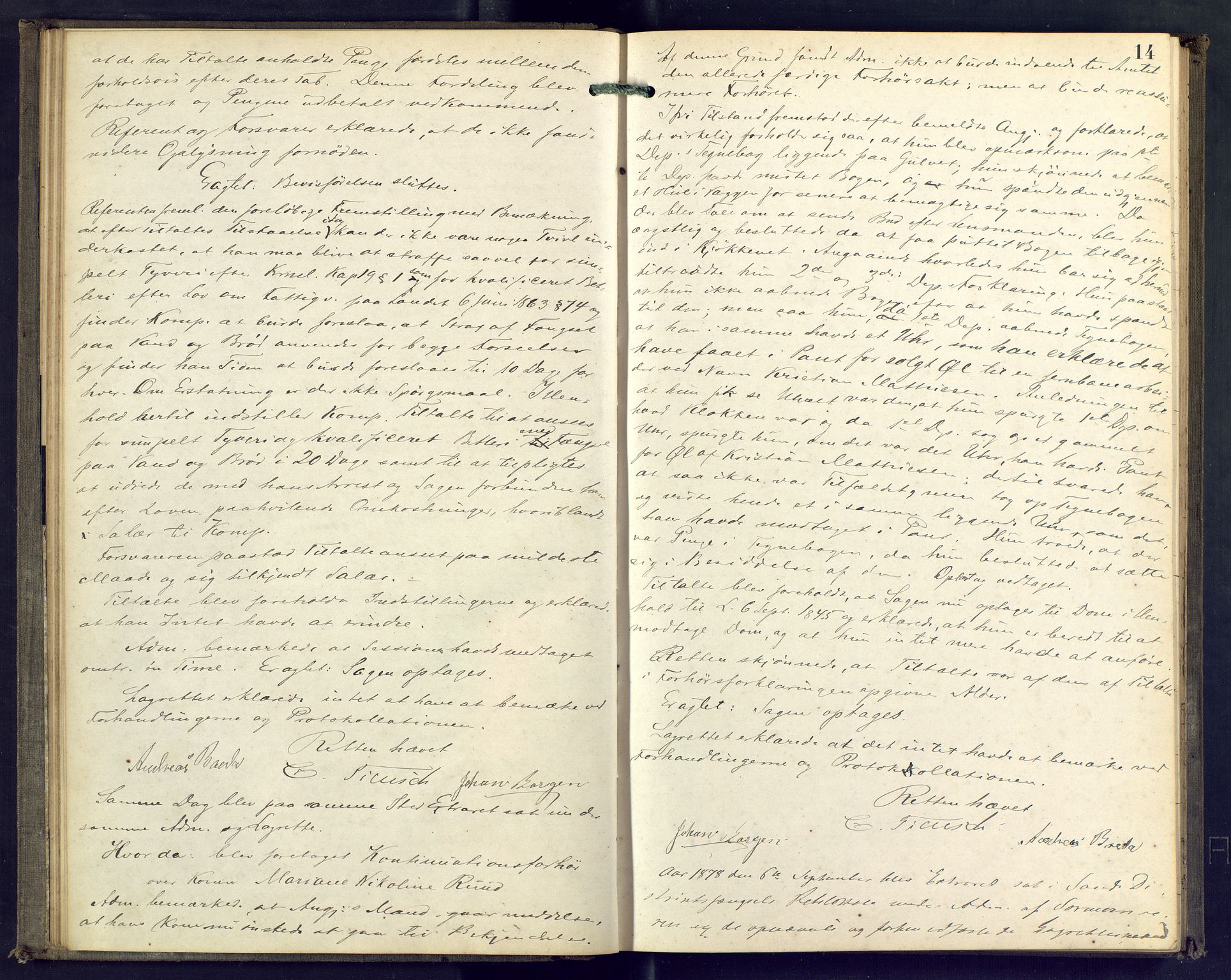 Nordre Jarlsberg sorenskriveri, AV/SAKO-A-80/F/Fb/Fba/L0023: Ekstrarettsprotokoll, 1878-1880, p. 14