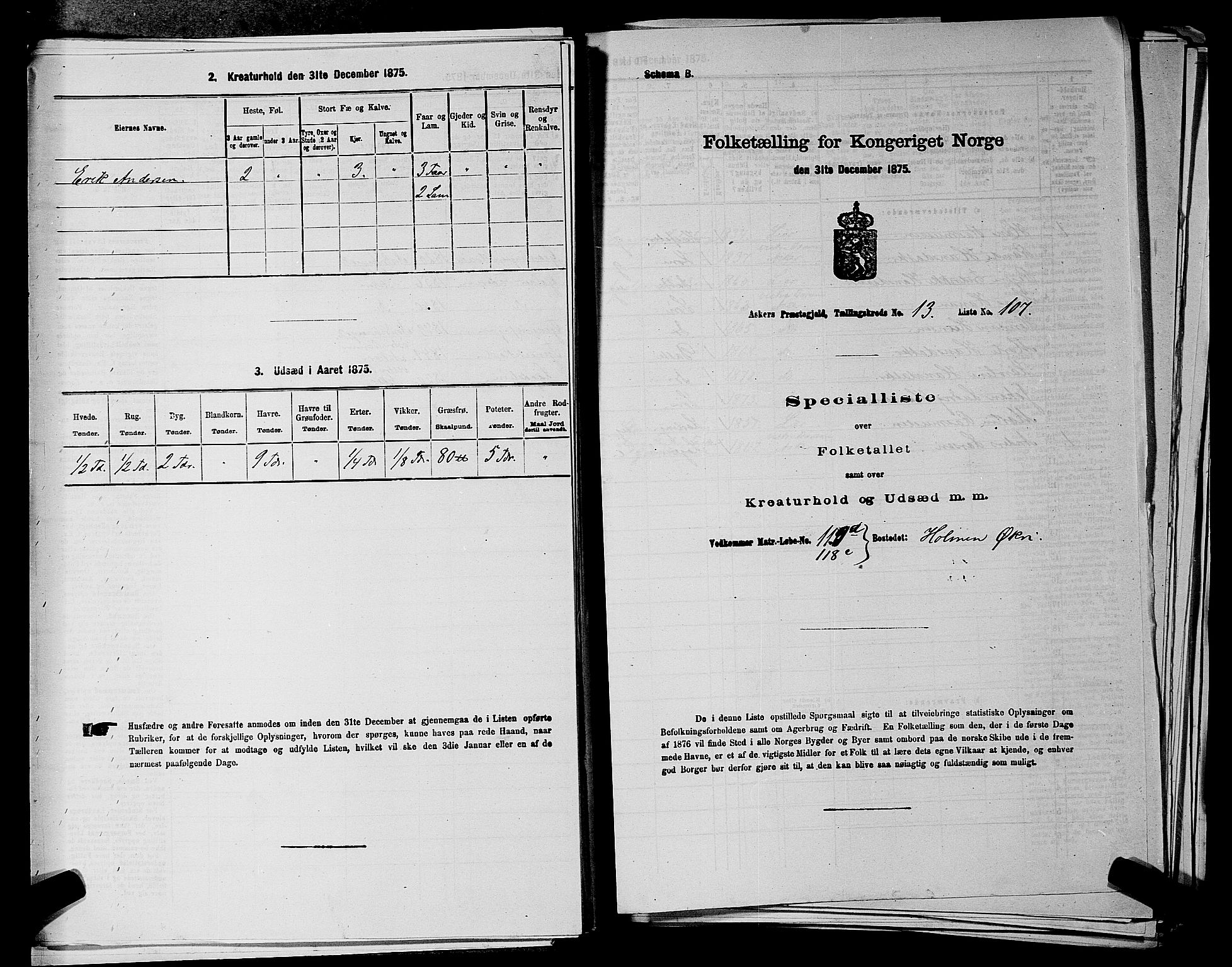 RA, 1875 census for 0220P Asker, 1875, p. 2500