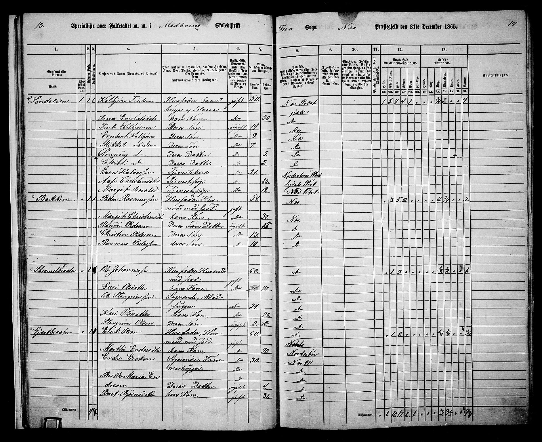 RA, 1865 census for Nes, 1865, p. 23