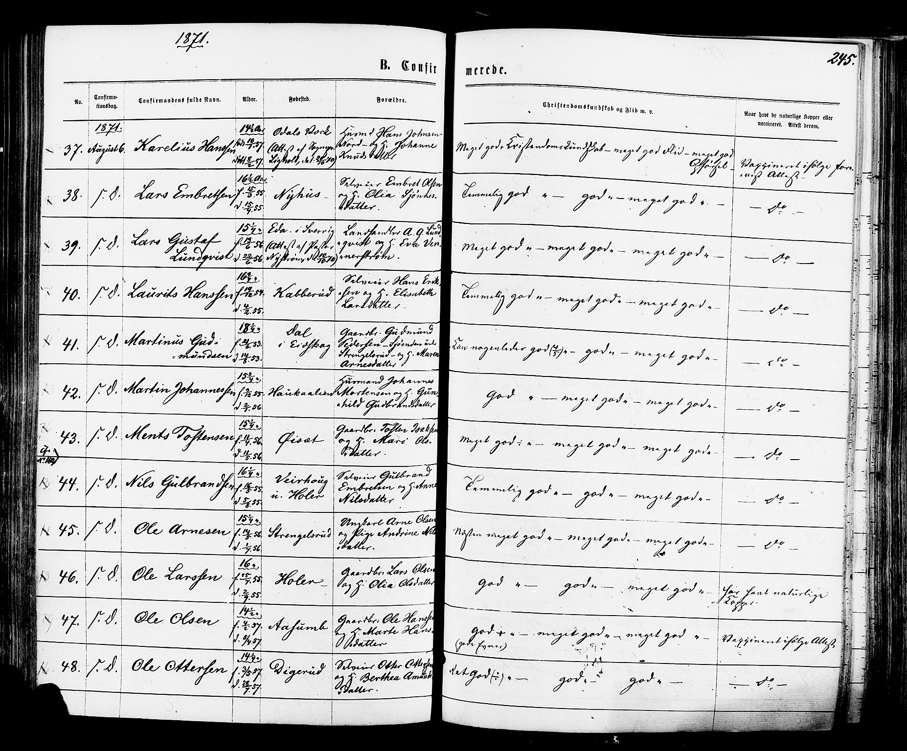 Vinger prestekontor, AV/SAH-PREST-024/H/Ha/Haa/L0012: Parish register (official) no. 12, 1871-1880, p. 245