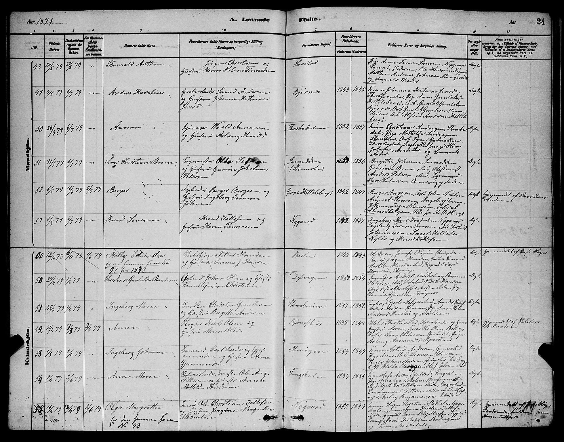 Barbu sokneprestkontor, AV/SAK-1111-0003/F/Fb/L0001: Parish register (copy) no. B 1, 1878-1890, p. 24