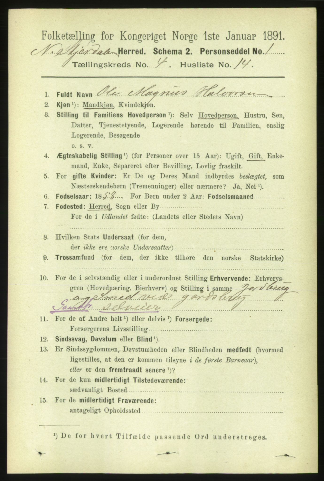 RA, 1891 census for 1714 Nedre Stjørdal, 1891, p. 1697