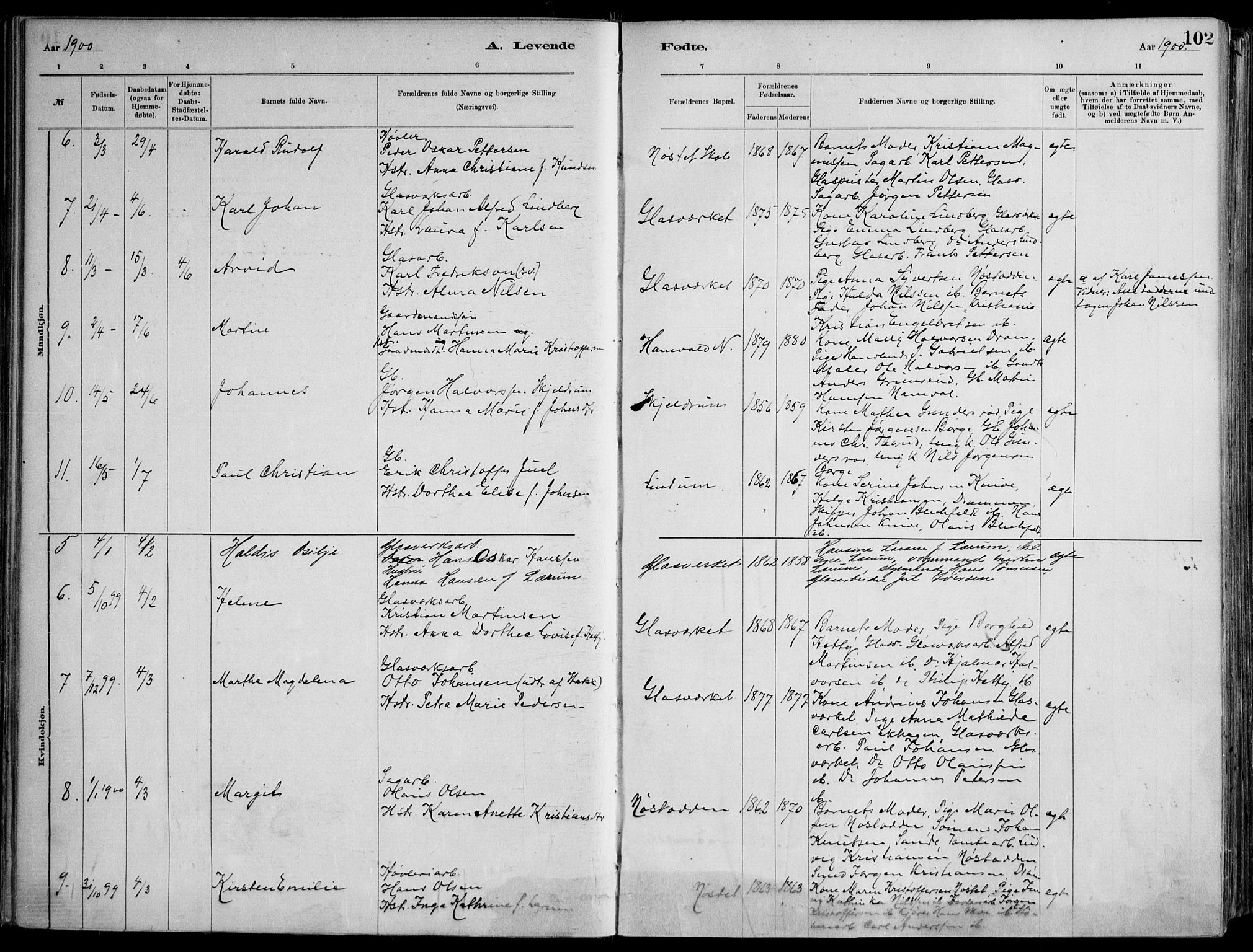 Skoger kirkebøker, AV/SAKO-A-59/F/Fa/L0006: Parish register (official) no. I 6, 1885-1910, p. 102