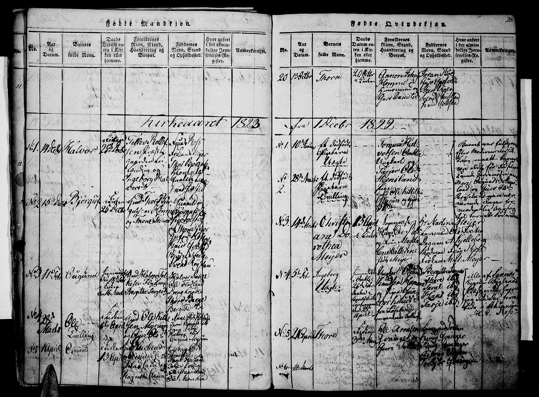 Valle sokneprestkontor, SAK/1111-0044/F/Fa/Fac/L0005: Parish register (official) no. A 5 /1, 1816-1831, p. 20