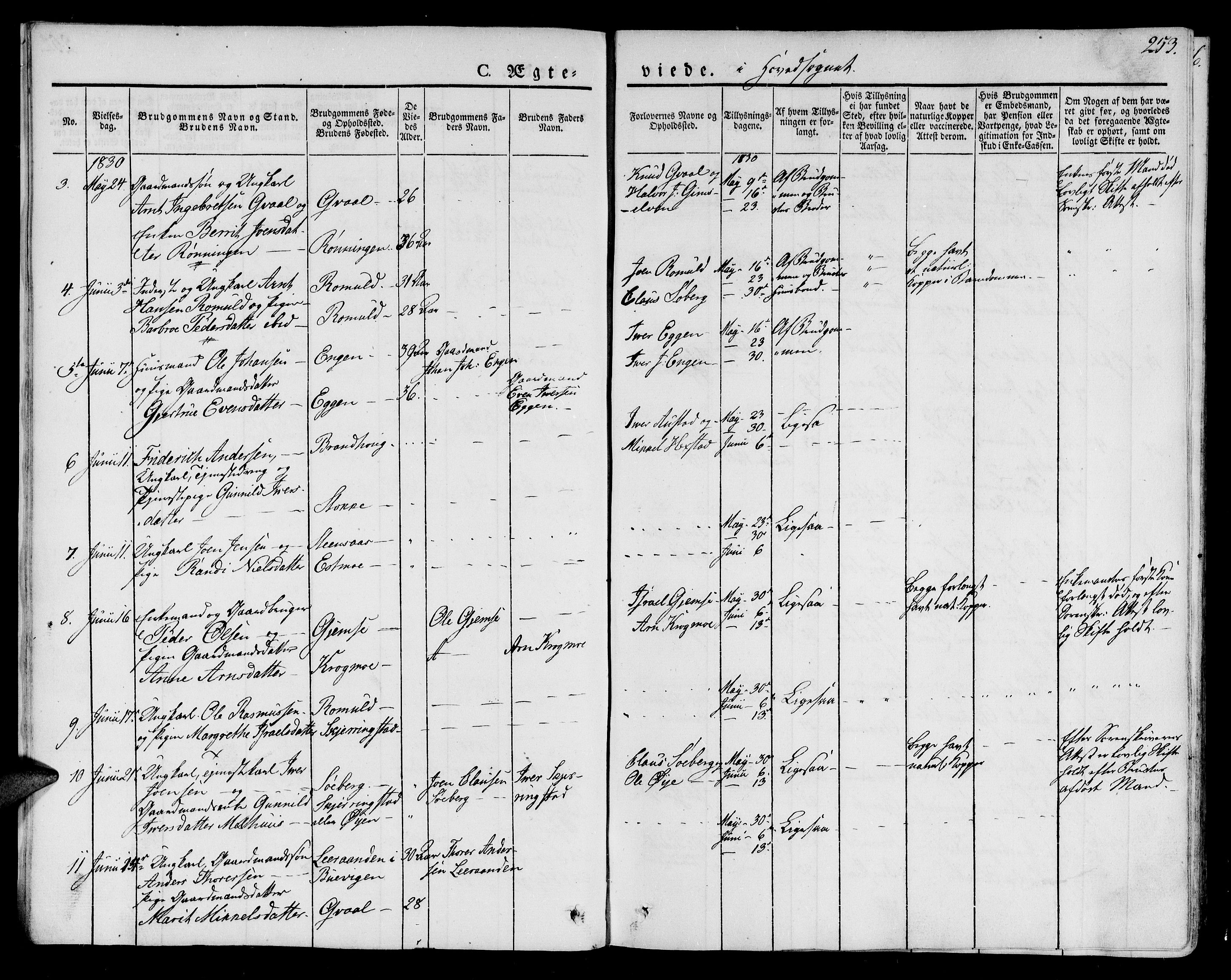 Ministerialprotokoller, klokkerbøker og fødselsregistre - Sør-Trøndelag, AV/SAT-A-1456/691/L1070: Parish register (official) no. 691A05 /1, 1826-1841, p. 253