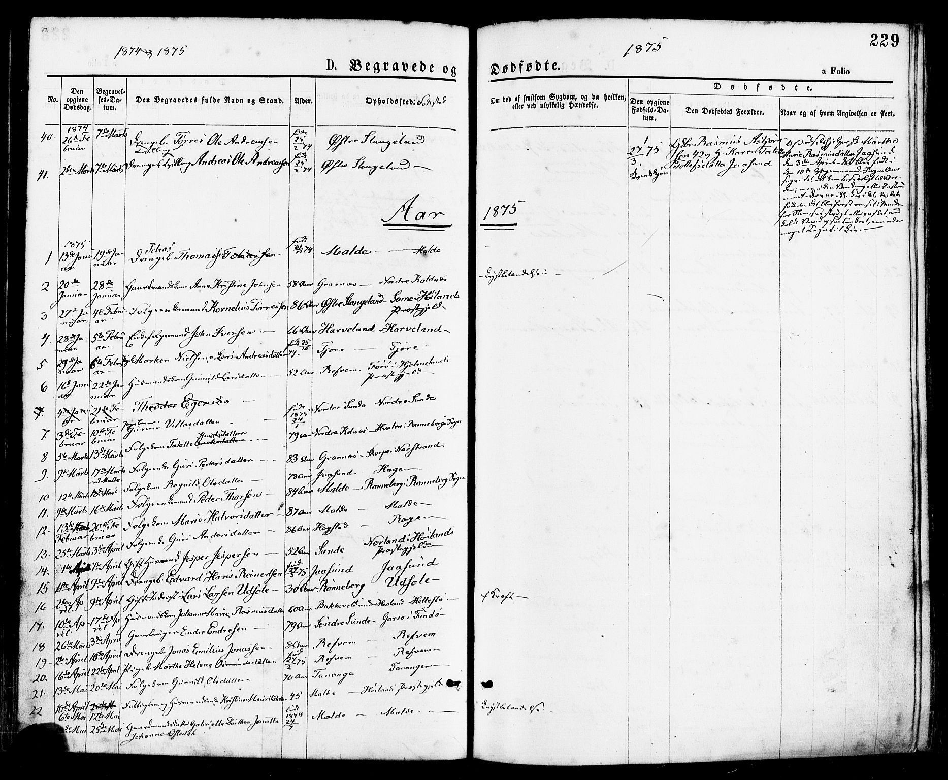 Håland sokneprestkontor, SAST/A-101802/001/30BA/L0009: Parish register (official) no. A 8, 1871-1882, p. 229