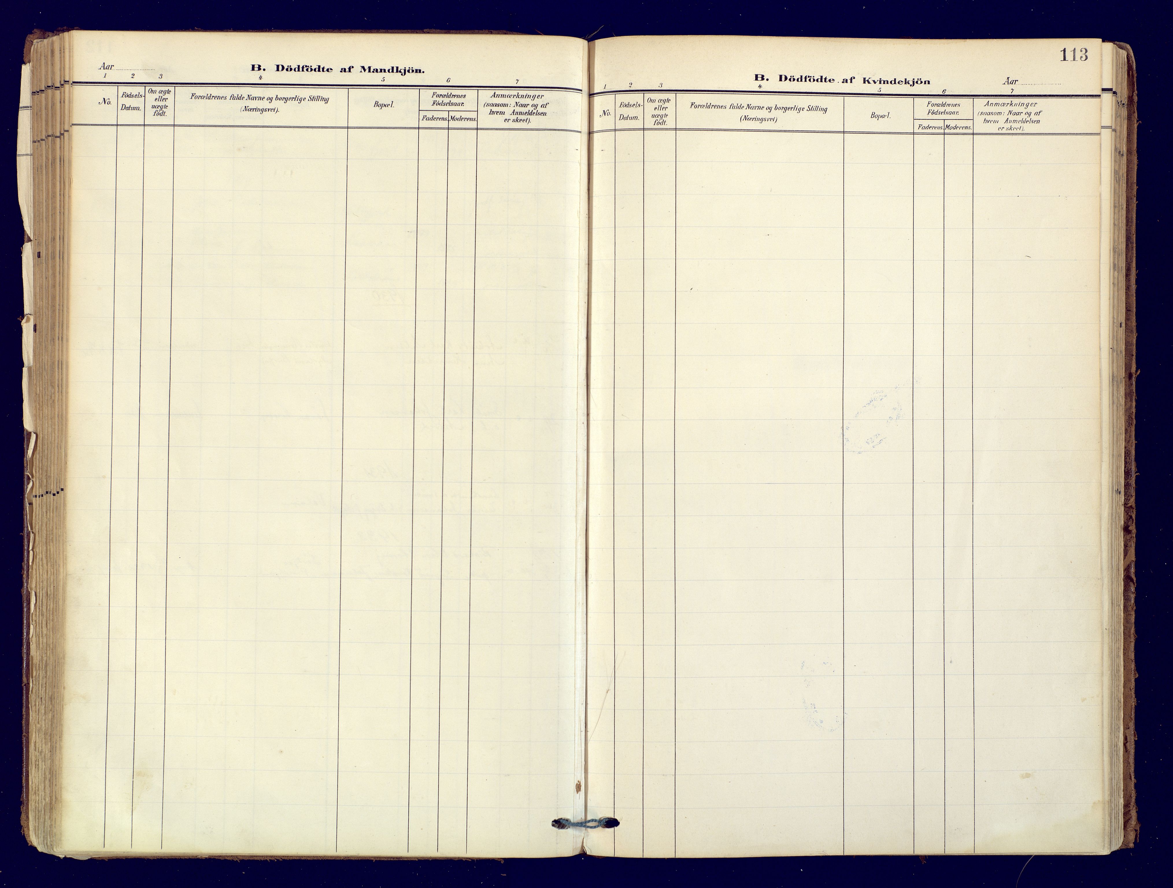 Skjervøy sokneprestkontor, SATØ/S-1300/H/Ha/Haa: Parish register (official) no. 19, 1908-1936, p. 113
