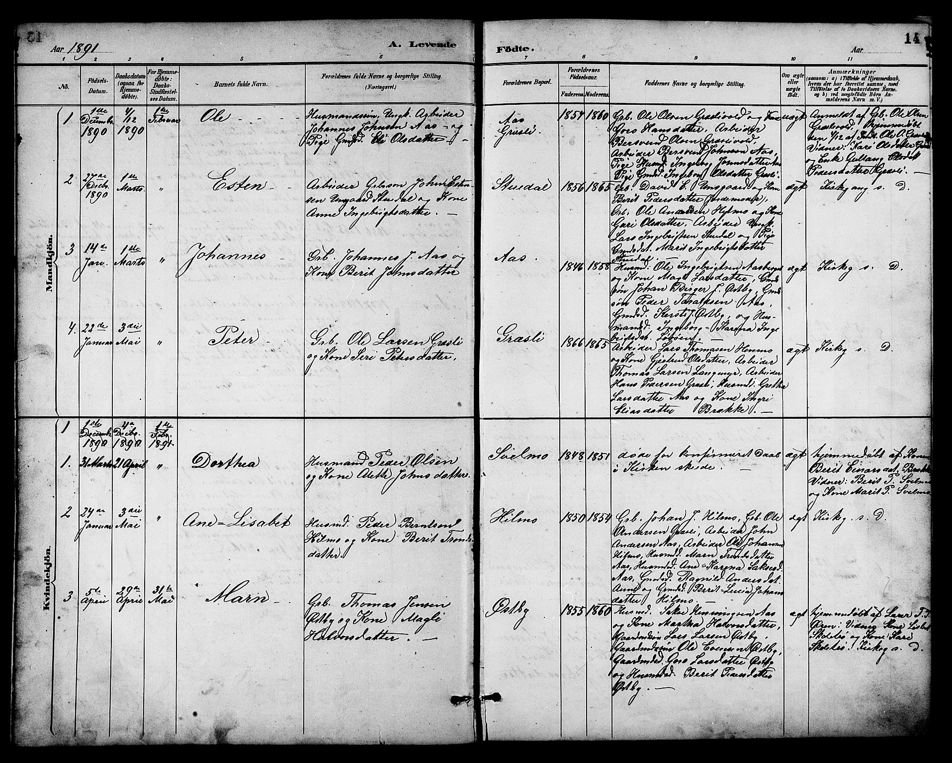 Ministerialprotokoller, klokkerbøker og fødselsregistre - Sør-Trøndelag, AV/SAT-A-1456/698/L1167: Parish register (copy) no. 698C04, 1888-1907, p. 14