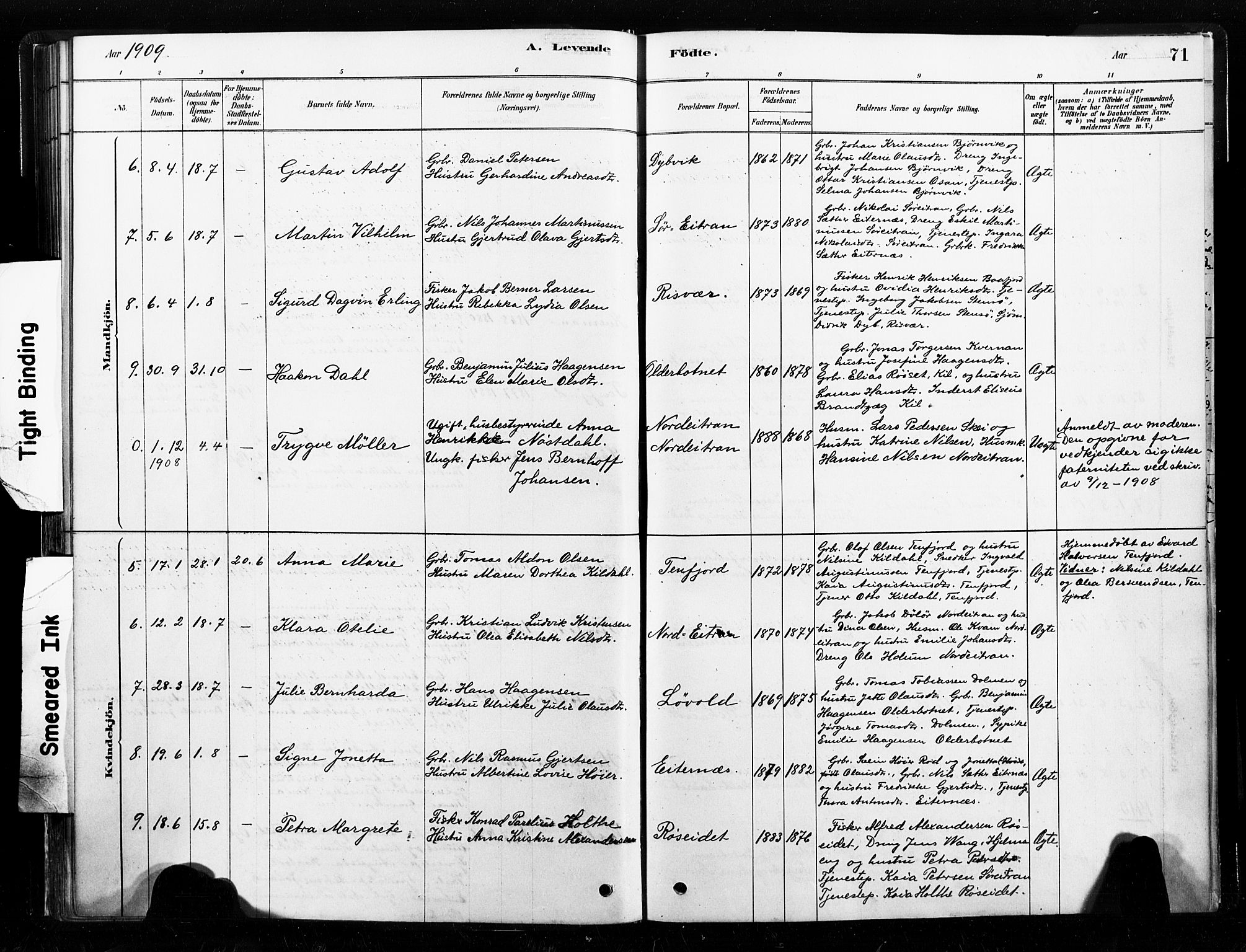 Ministerialprotokoller, klokkerbøker og fødselsregistre - Nord-Trøndelag, SAT/A-1458/789/L0705: Parish register (official) no. 789A01, 1878-1910, p. 71