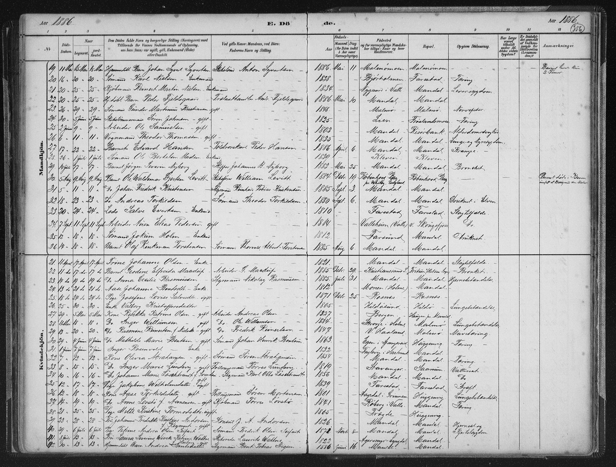 Mandal sokneprestkontor, AV/SAK-1111-0030/F/Fb/Fba/L0011: Parish register (copy) no. B 5, 1880-1898, p. 356