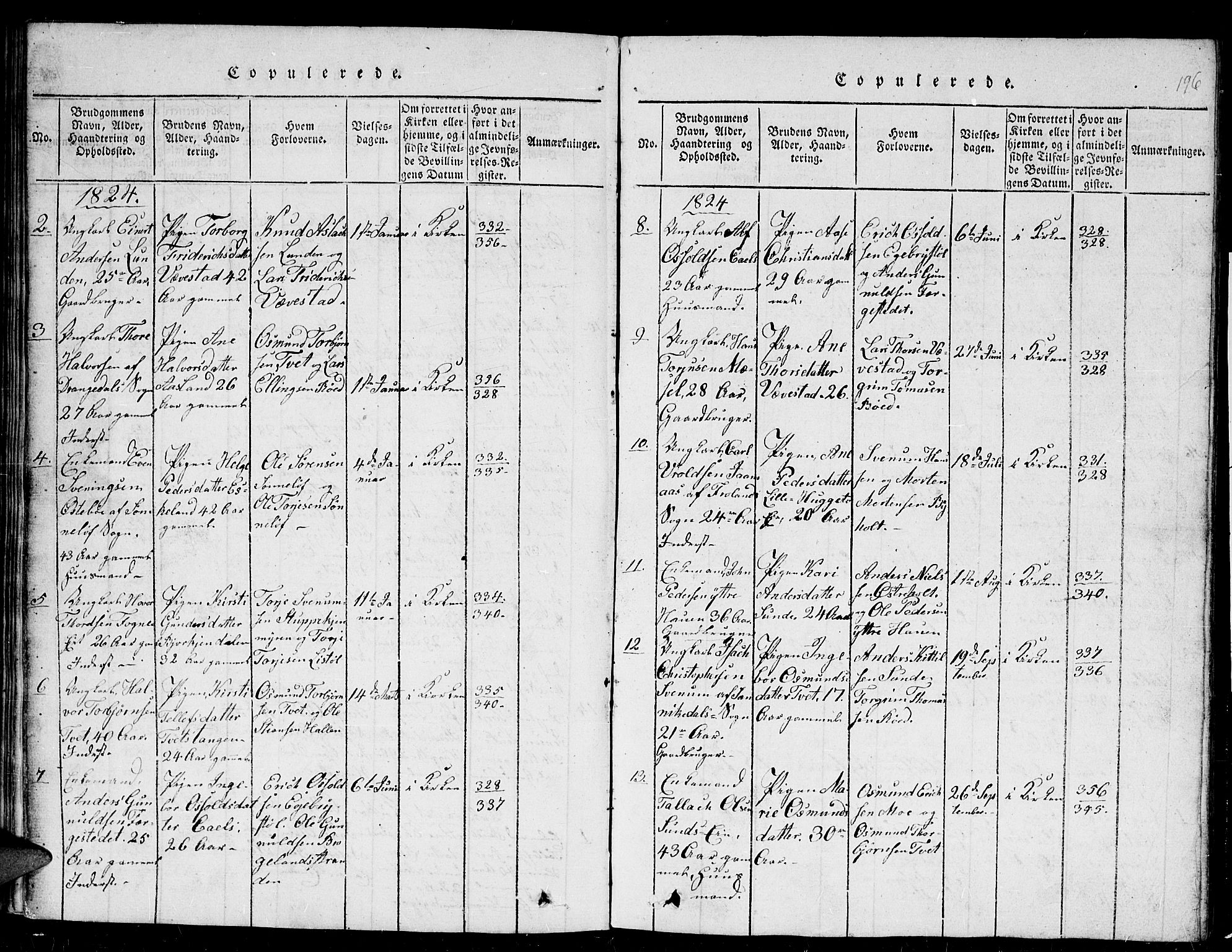 Gjerstad sokneprestkontor, SAK/1111-0014/F/Fb/Fba/L0002: Parish register (copy) no. B 2, 1816-1845, p. 196