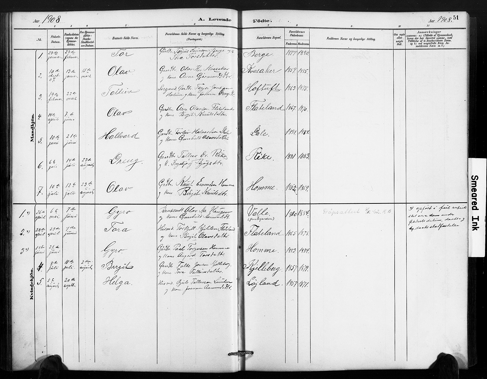 Valle sokneprestkontor, AV/SAK-1111-0044/F/Fb/Fbc/L0004: Parish register (copy) no. B 4, 1890-1928, p. 51