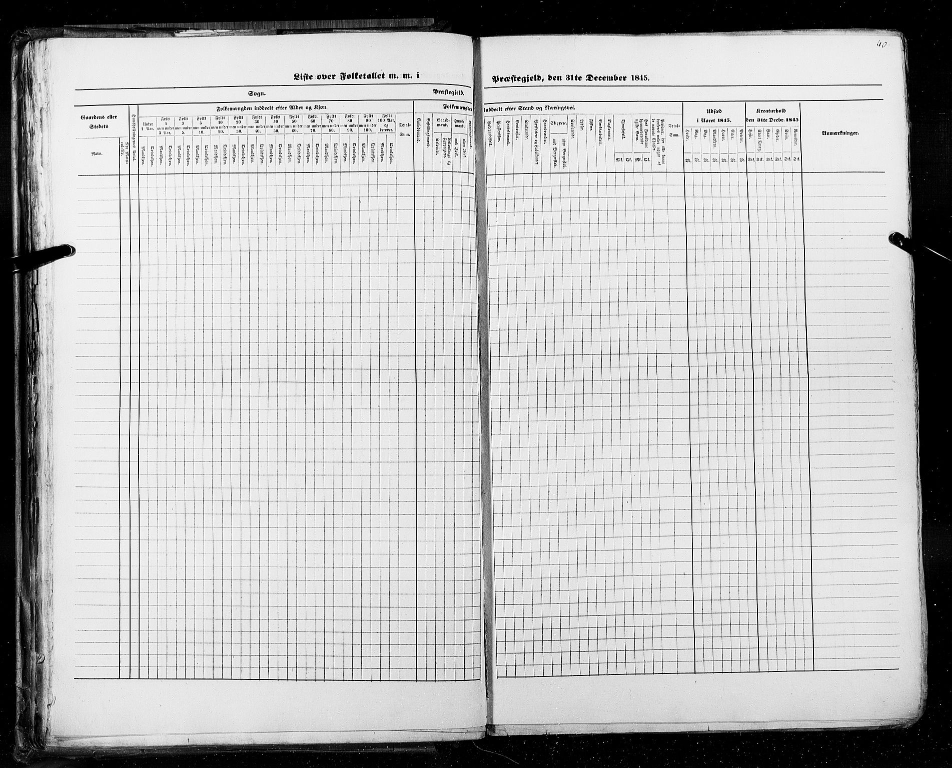 RA, Census 1845, vol. 5: Bratsberg amt og Nedenes og Råbyggelaget amt, 1845, p. 40