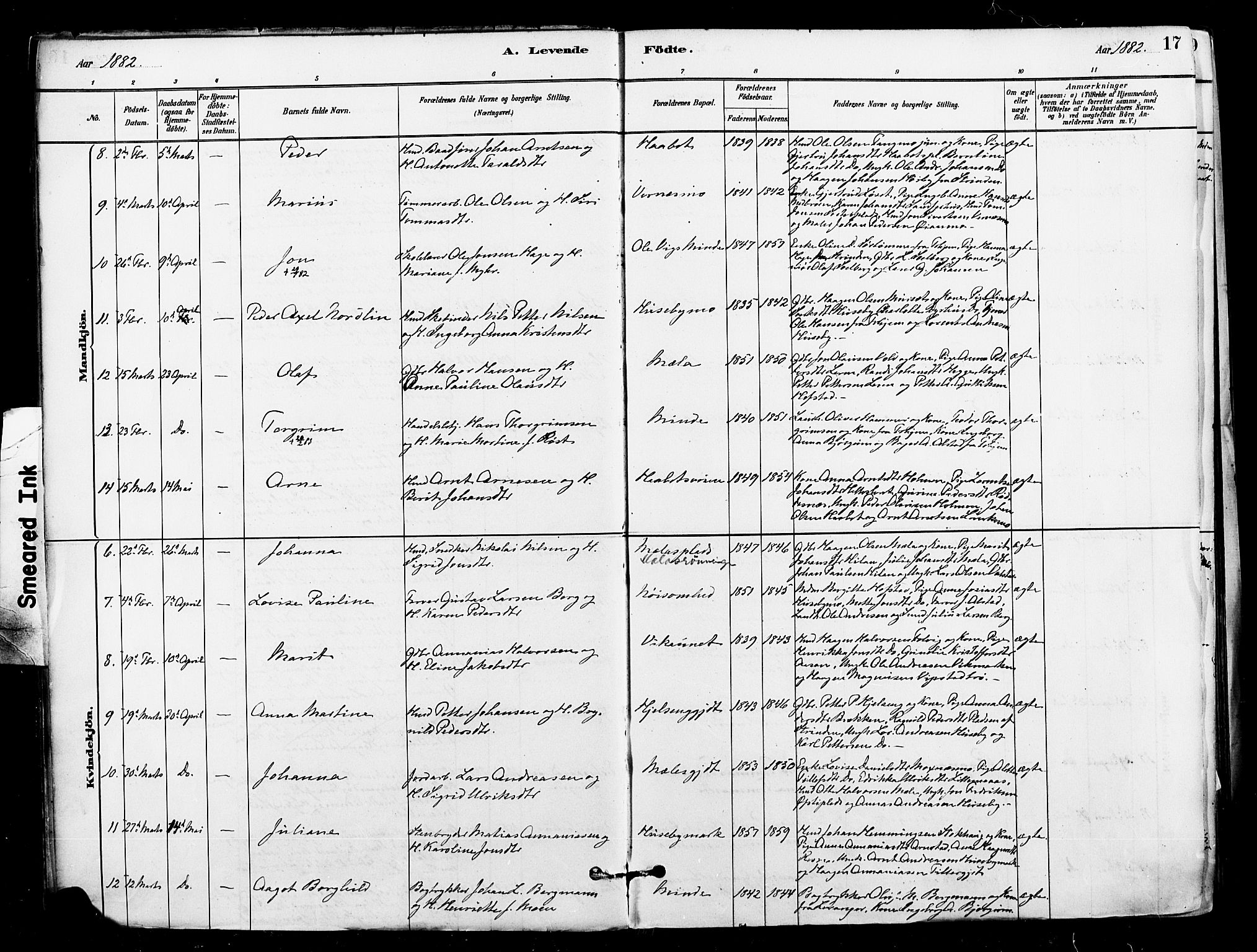 Ministerialprotokoller, klokkerbøker og fødselsregistre - Nord-Trøndelag, AV/SAT-A-1458/709/L0077: Parish register (official) no. 709A17, 1880-1895, p. 17