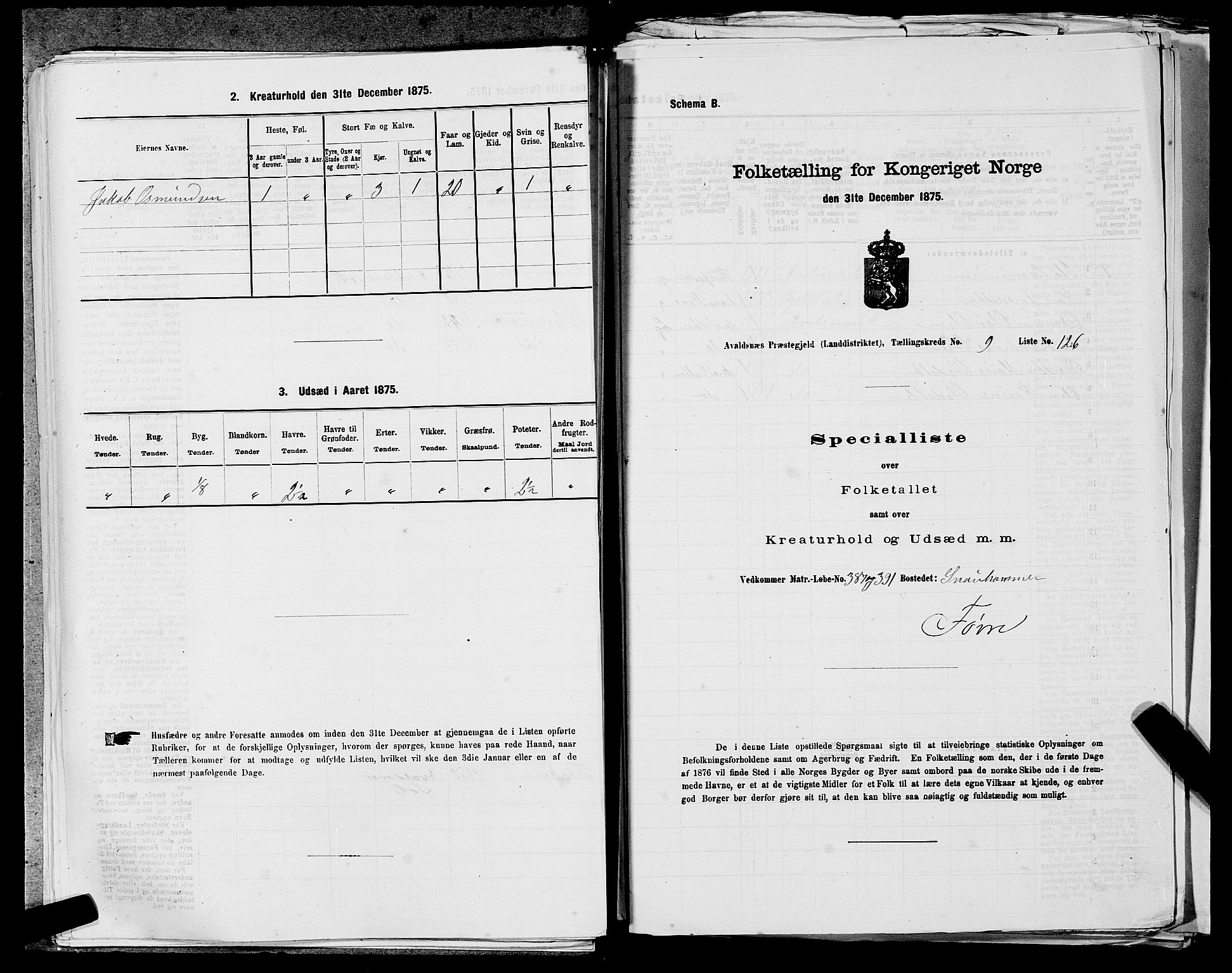 SAST, 1875 census for 1147L Avaldsnes/Avaldsnes og Kopervik, 1875, p. 1672