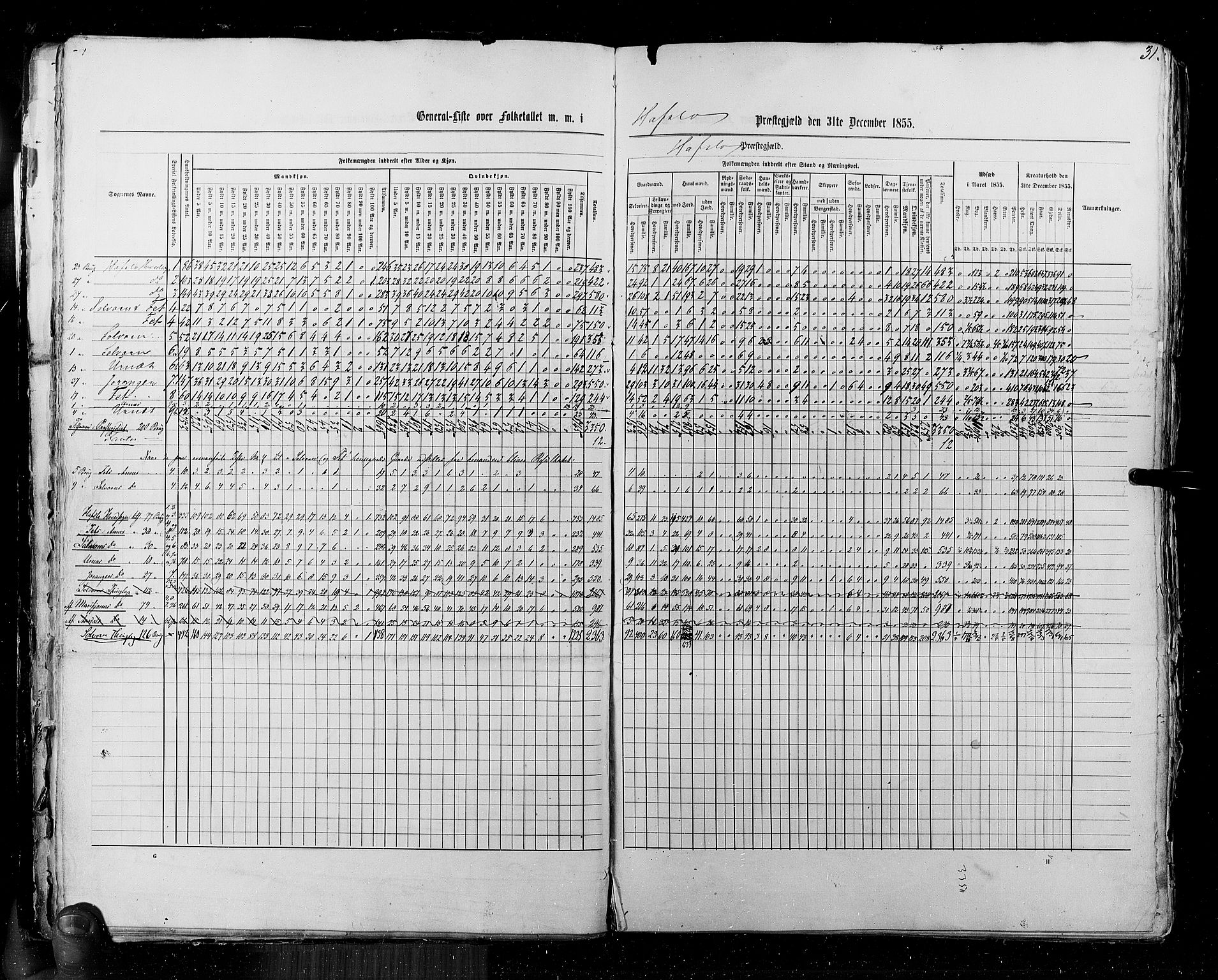 RA, Census 1855, vol. 5: Nordre Bergenhus amt, Romsdal amt og Søndre Trondhjem amt, 1855, p. 31