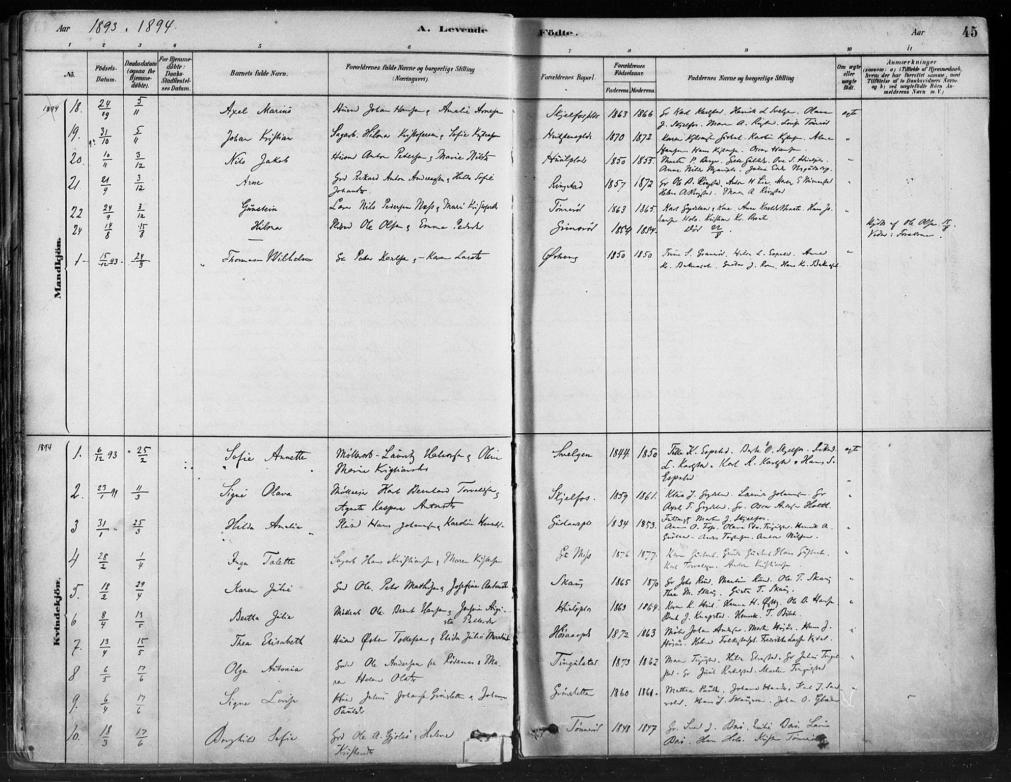 Hobøl prestekontor Kirkebøker, AV/SAO-A-2002/F/Fa/L0005: Parish register (official) no. I 5, 1878-1904, p. 45