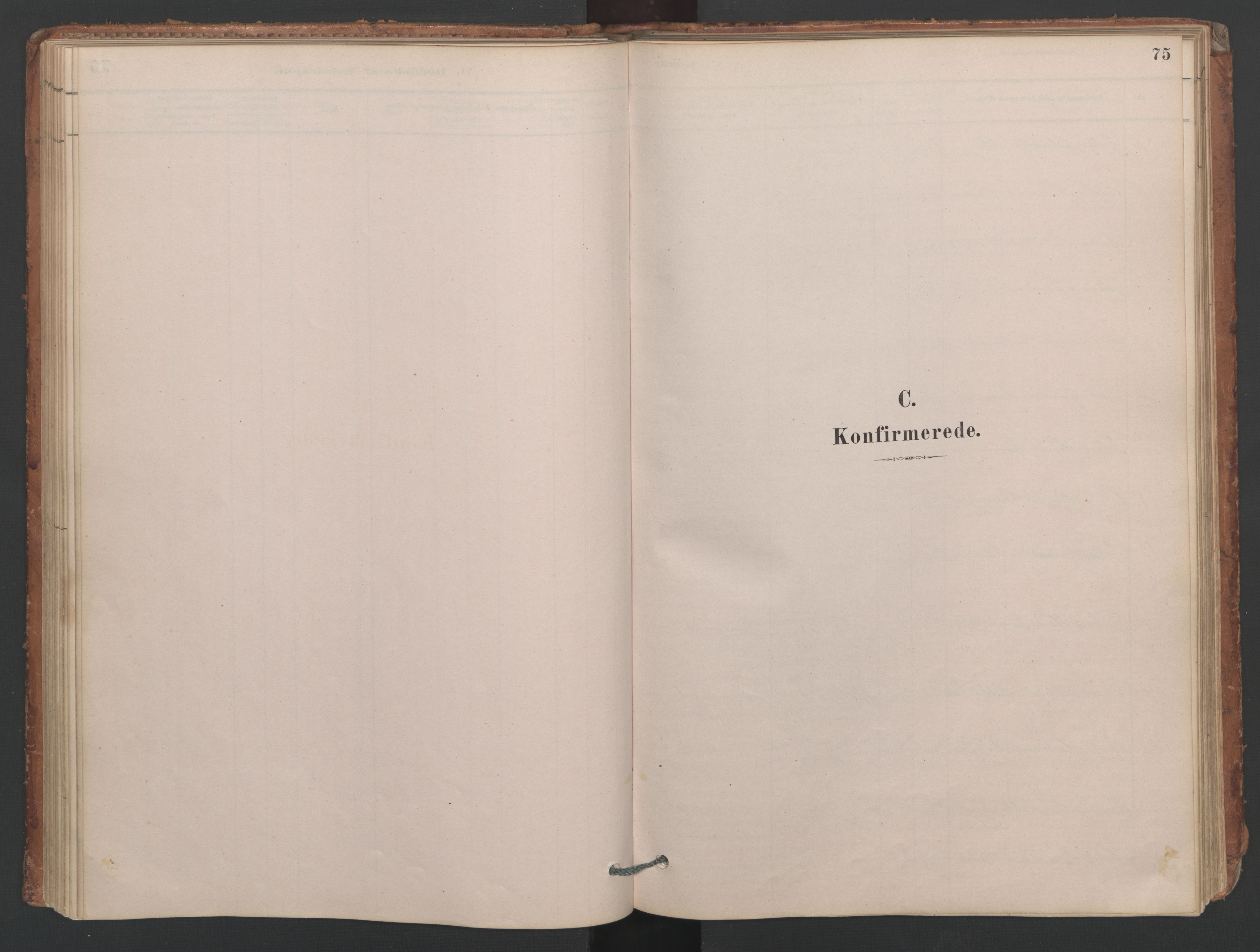 Ministerialprotokoller, klokkerbøker og fødselsregistre - Møre og Romsdal, SAT/A-1454/594/L1036: Parish register (official) no. 594A02 (?), 1879-1910, p. 75