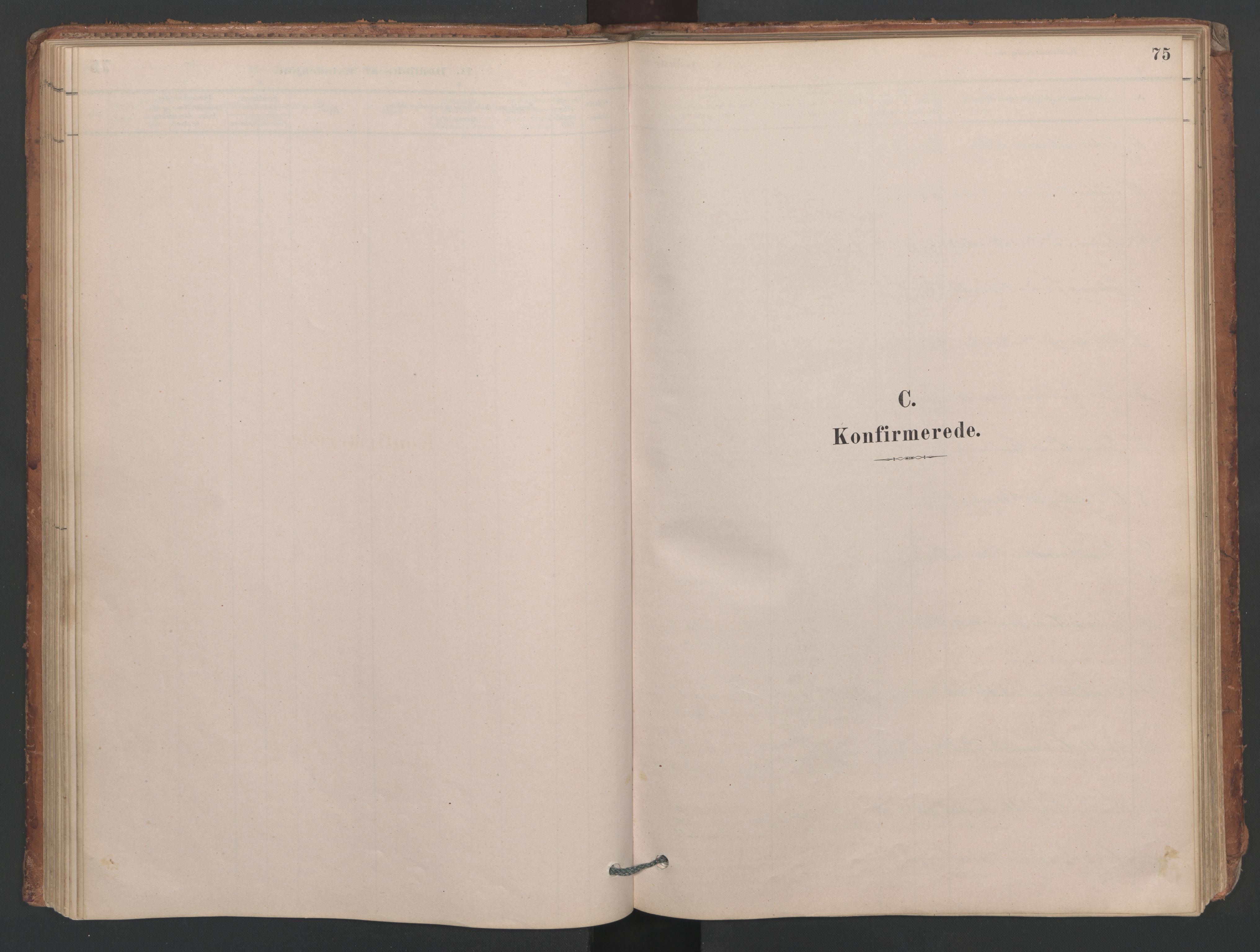 Ministerialprotokoller, klokkerbøker og fødselsregistre - Møre og Romsdal, AV/SAT-A-1454/594/L1036: Parish register (official) no. 594A02 (?), 1879-1910, p. 75