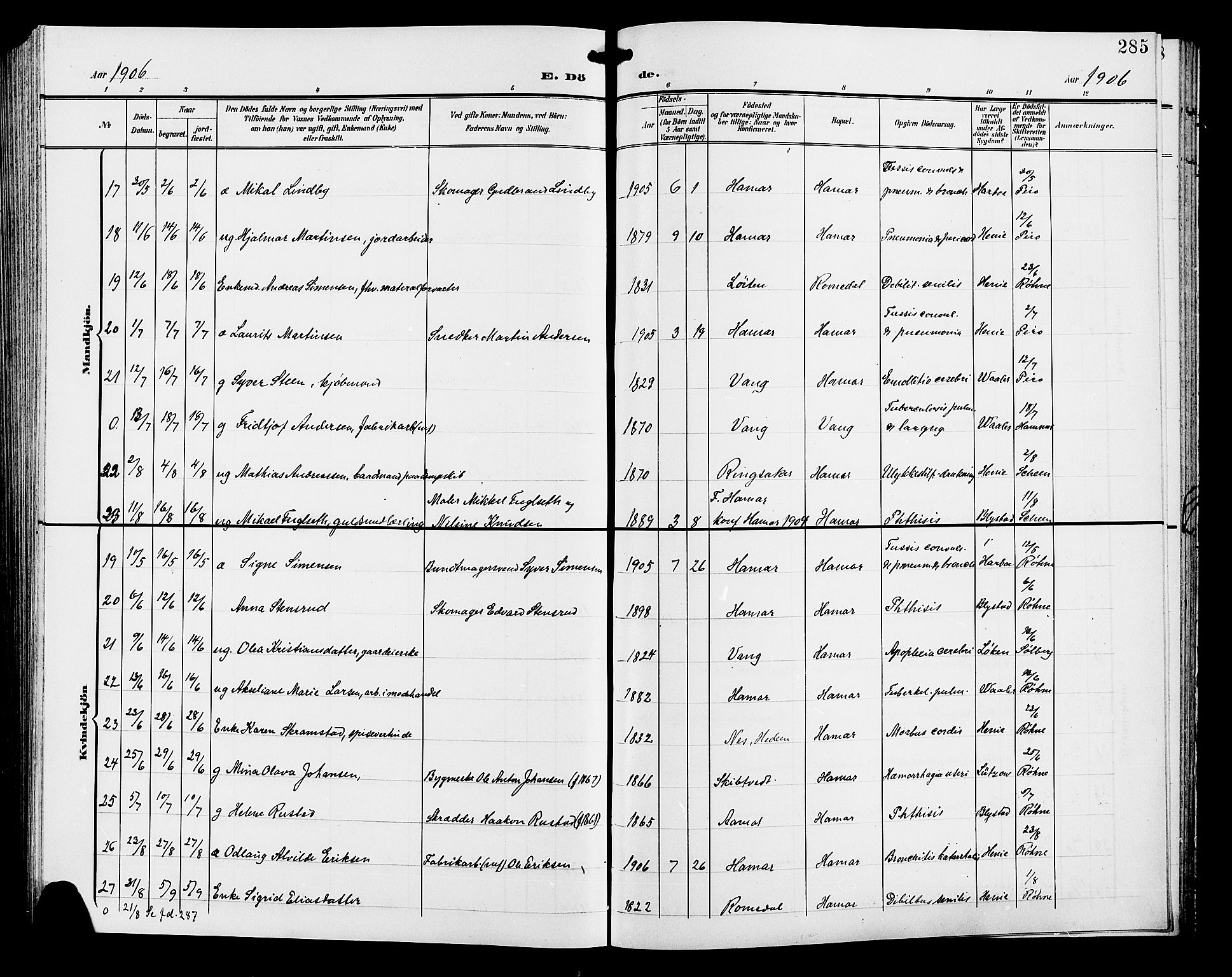 Hamar prestekontor, AV/SAH-DOMPH-002/H/Ha/Hab/L0001: Parish register (copy) no. 1, 1899-1914, p. 285