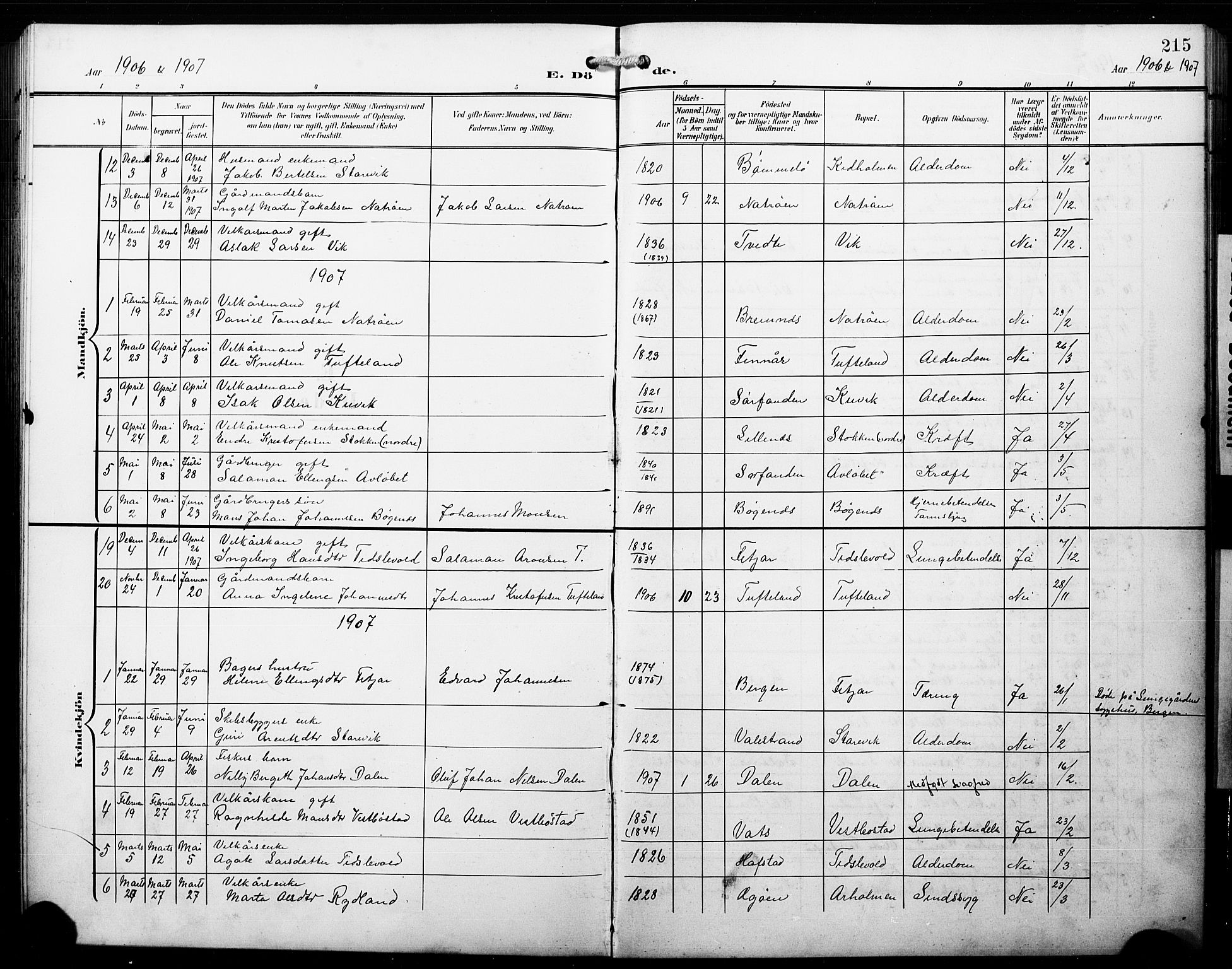 Fitjar sokneprestembete, AV/SAB-A-99926: Parish register (copy) no. B 1, 1906-1928, p. 215