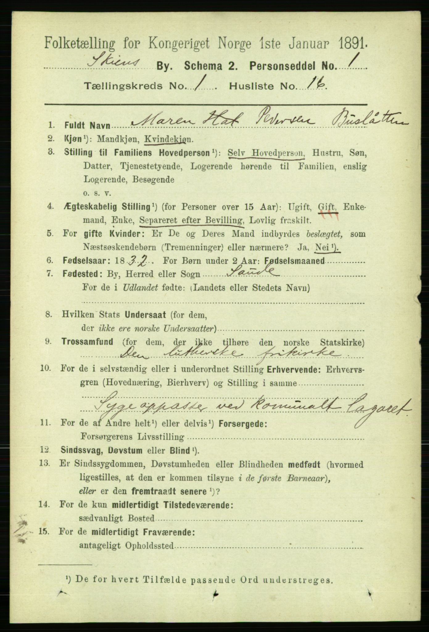 RA, 1891 census for 0806 Skien, 1891, p. 2306