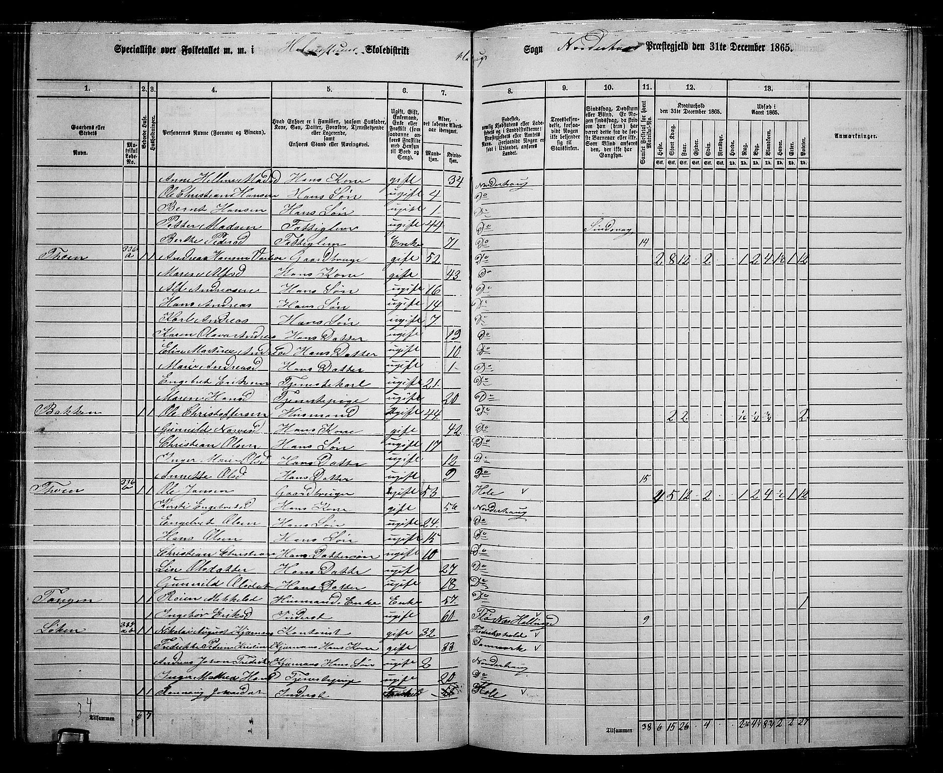 RA, 1865 census for Norderhov/Norderhov, Haug og Lunder, 1865, p. 241