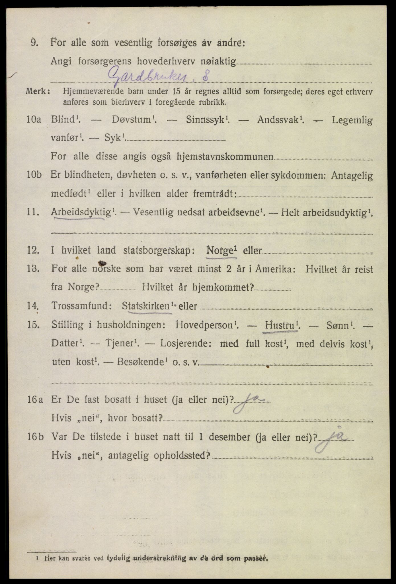 SAK, 1920 census for Hornnes, 1920, p. 3254