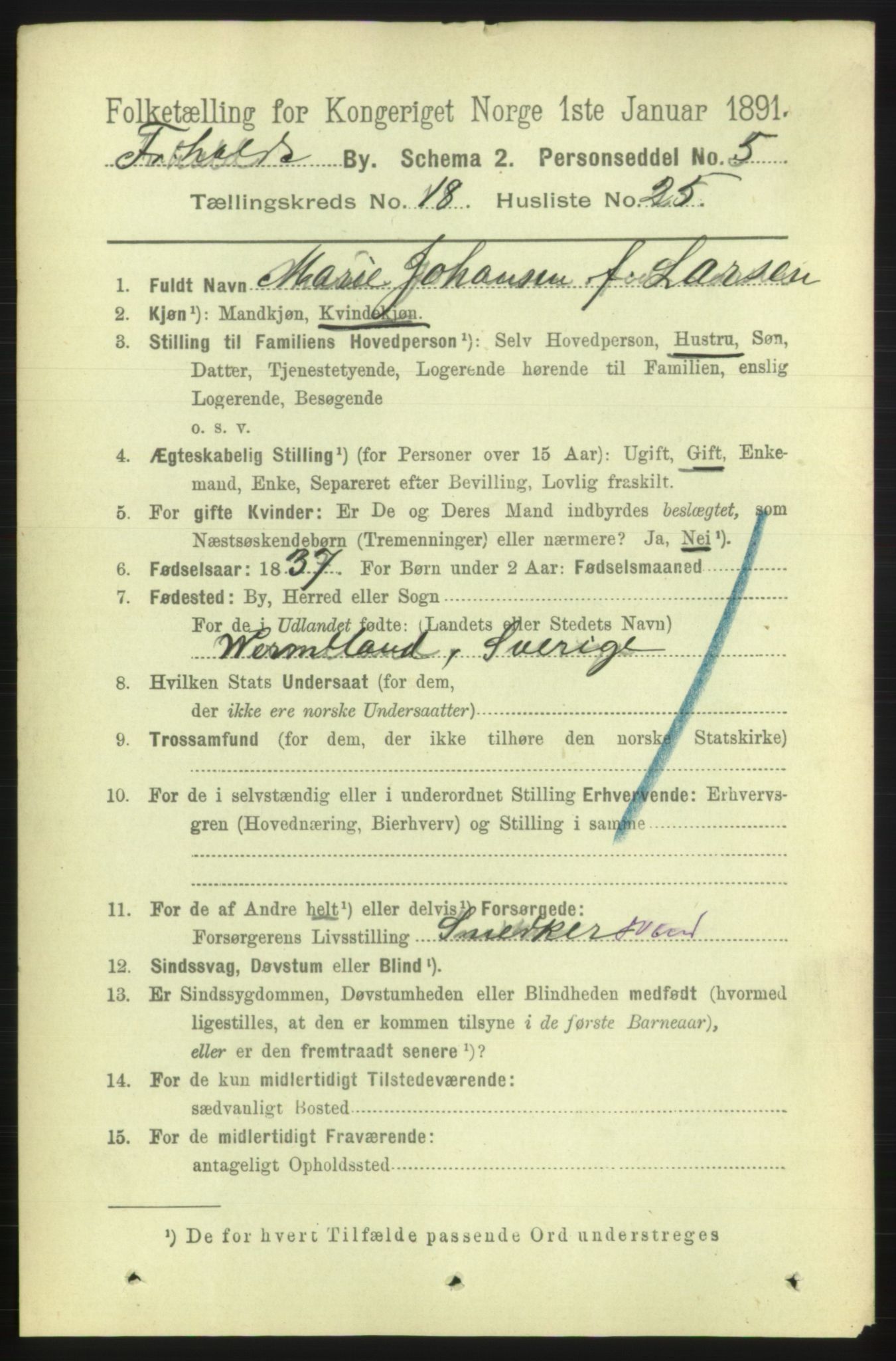 RA, 1891 census for 0101 Fredrikshald, 1891, p. 11770