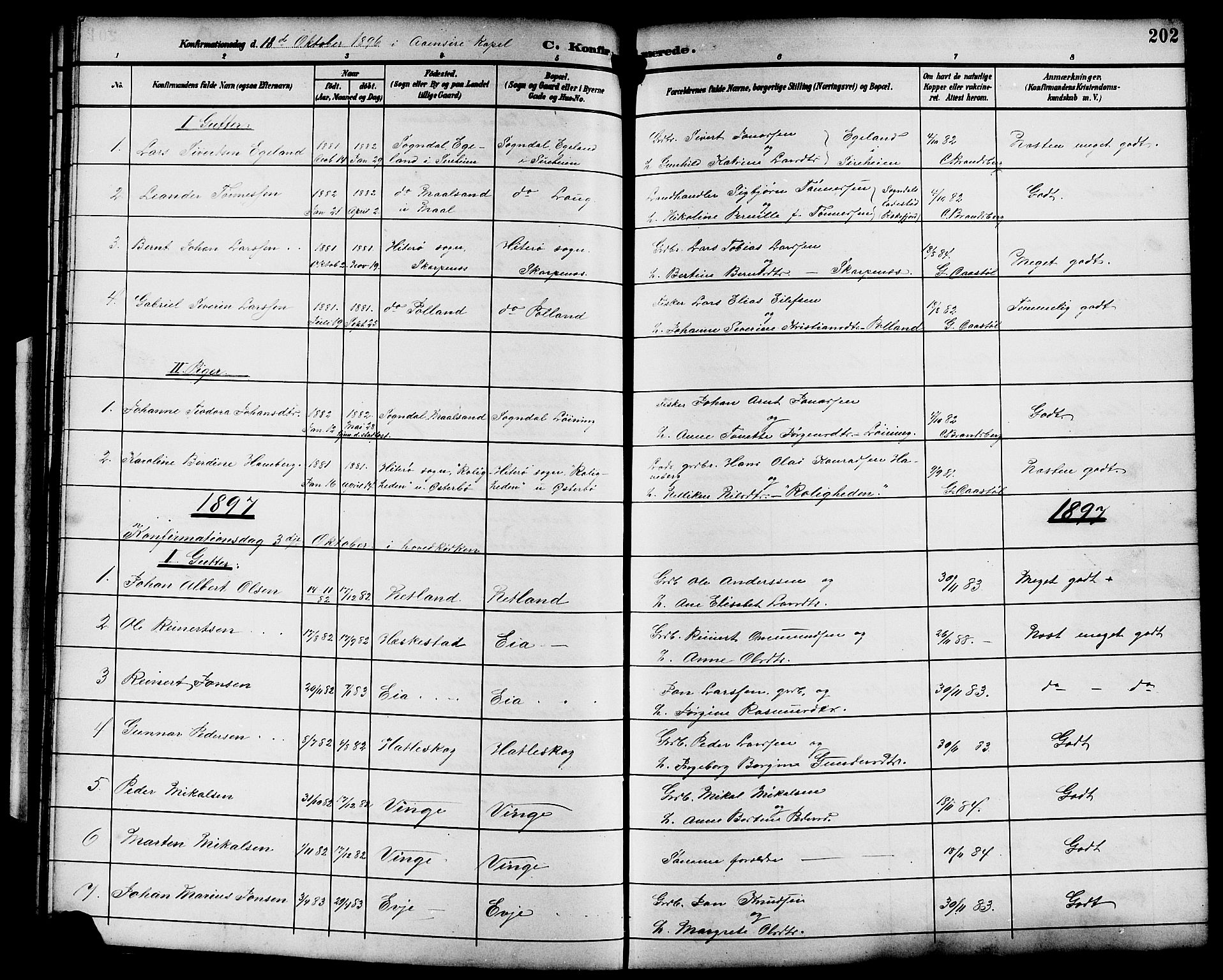 Sokndal sokneprestkontor, SAST/A-101808: Parish register (copy) no. B 6, 1892-1907, p. 202