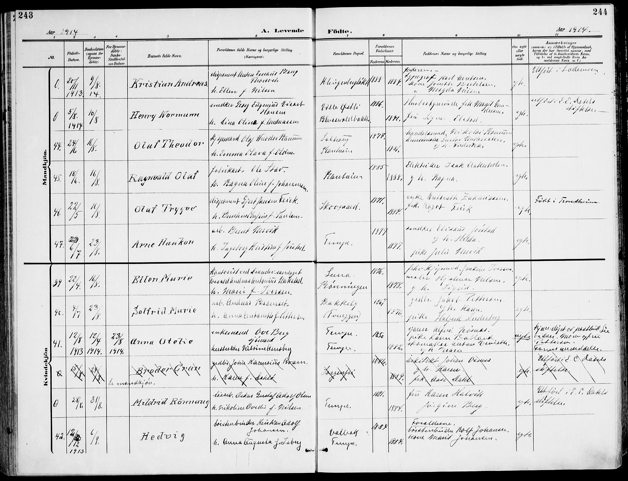 Ministerialprotokoller, klokkerbøker og fødselsregistre - Sør-Trøndelag, AV/SAT-A-1456/607/L0320: Parish register (official) no. 607A04, 1907-1915, p. 243-244