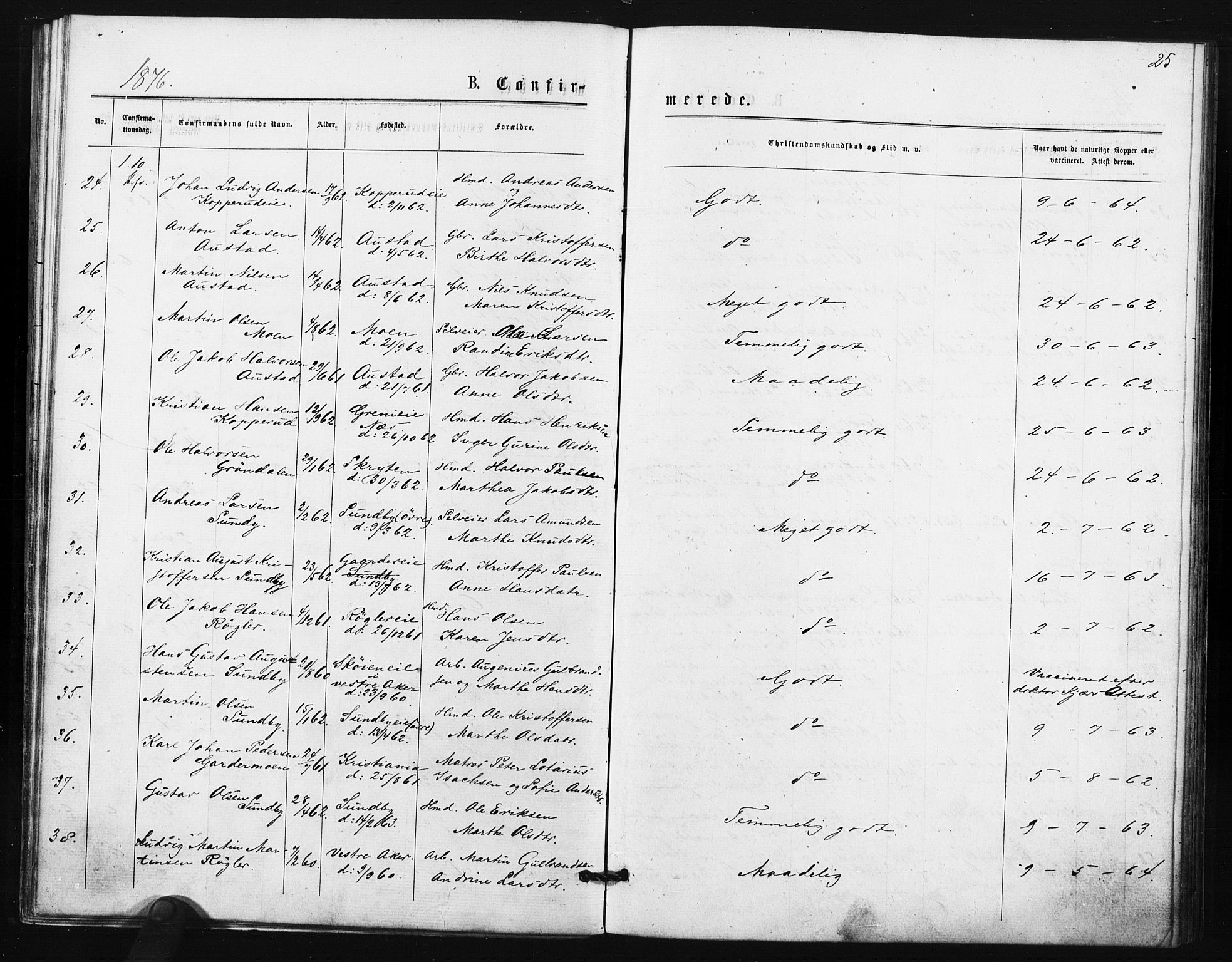 Ullensaker prestekontor Kirkebøker, AV/SAO-A-10236a/F/Fa/L0018: Parish register (official) no. I 18, 1876-1877, p. 25