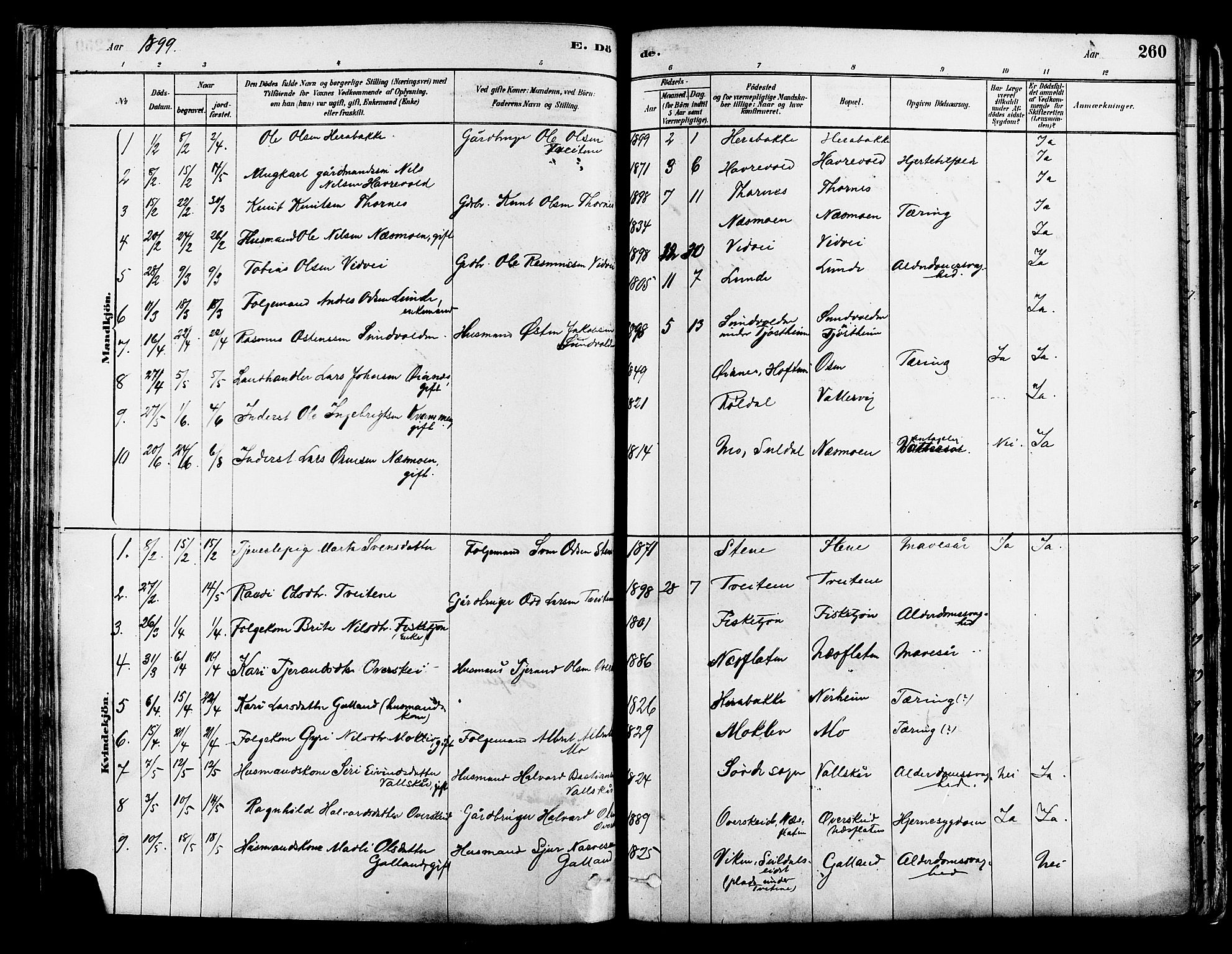 Suldal sokneprestkontor, AV/SAST-A-101845/01/IV/L0011: Parish register (official) no. A 11, 1878-1900, p. 260