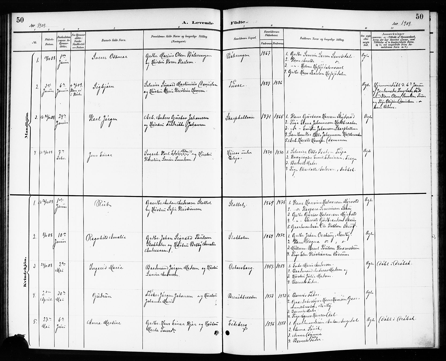 Drøbak prestekontor Kirkebøker, AV/SAO-A-10142a/G/Gb/L0001: Parish register (copy) no. II 1, 1901-1919, p. 50