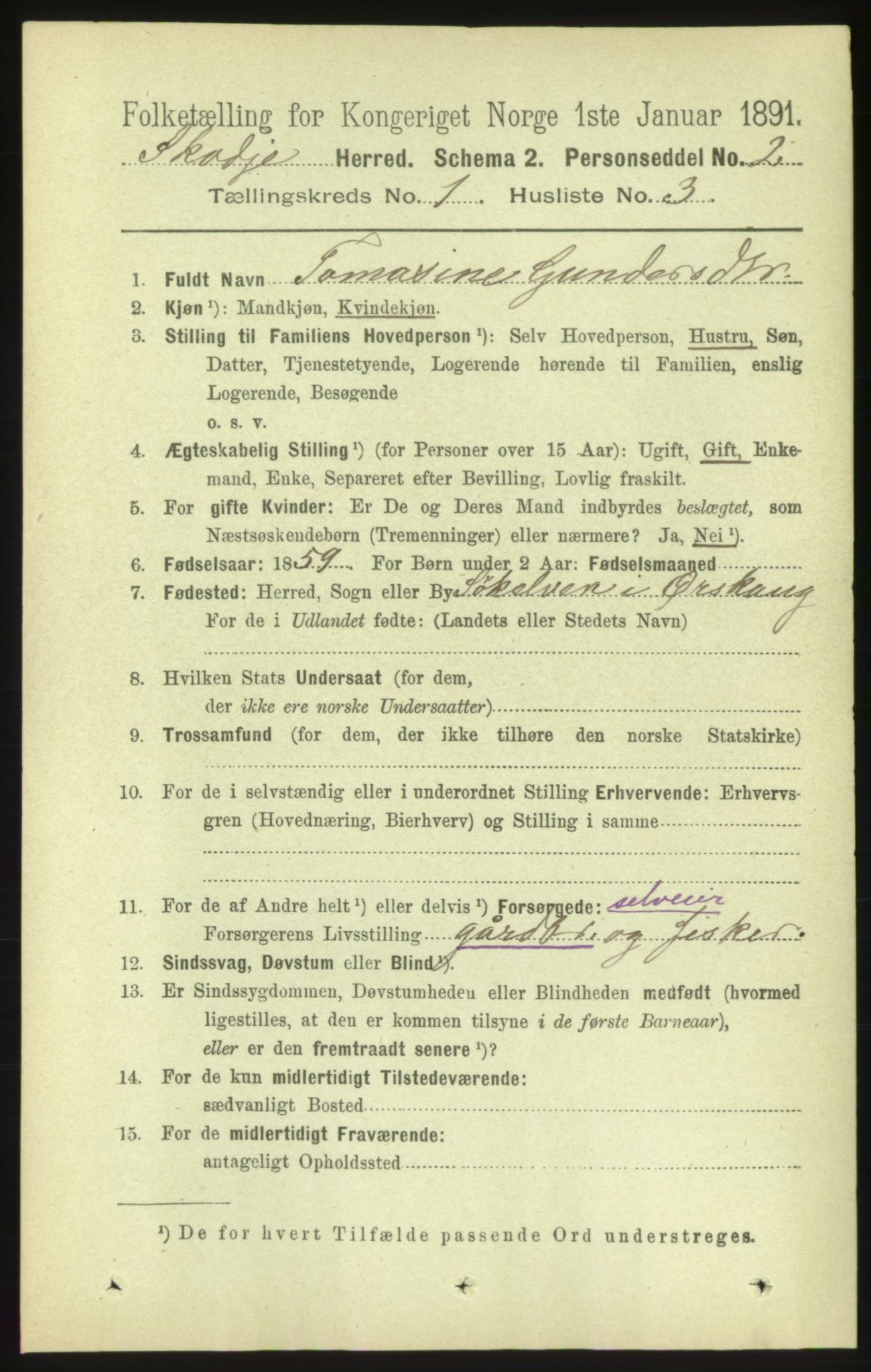 RA, 1891 census for 1529 Skodje, 1891, p. 80