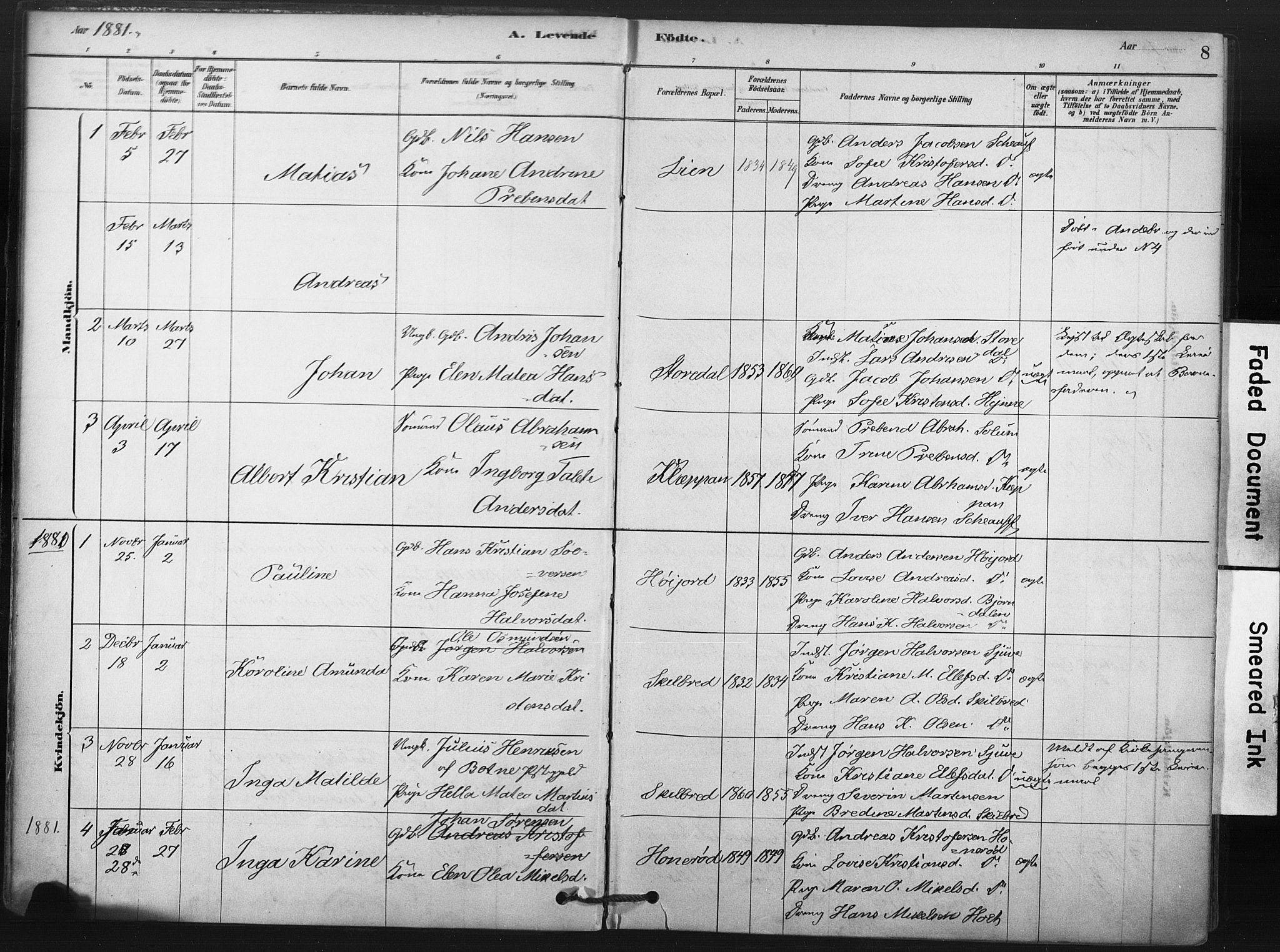 Andebu kirkebøker, AV/SAKO-A-336/F/Fb/L0001: Parish register (official) no. II 1, 1878-1909, p. 8
