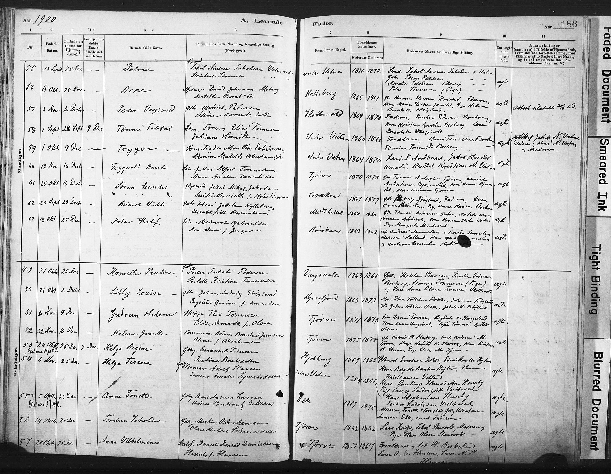 Lista sokneprestkontor, AV/SAK-1111-0027/F/Fa/L0012: Parish register (official) no. A 12, 1879-1903, p. 186