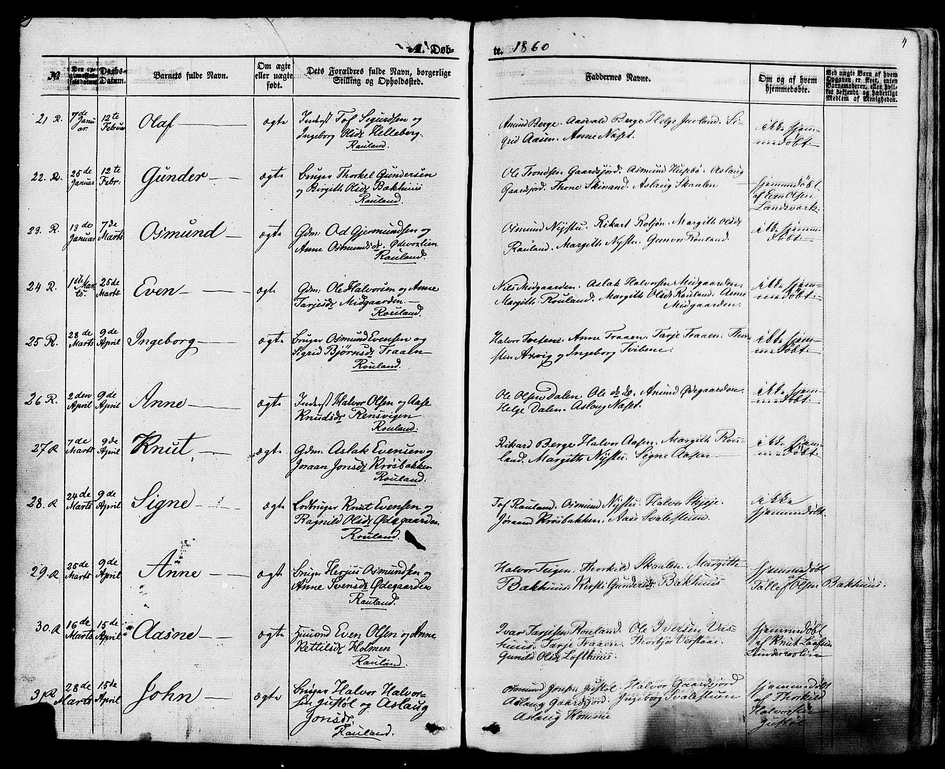 Rauland kirkebøker, AV/SAKO-A-292/F/Fa/L0003: Parish register (official) no. I 3, 1859-1886, p. 4