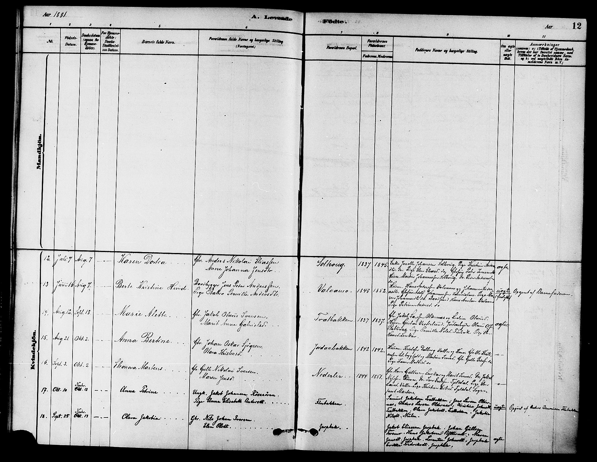 Ministerialprotokoller, klokkerbøker og fødselsregistre - Nordland, AV/SAT-A-1459/826/L0379: Parish register (official) no. 826A02, 1878-1895, p. 12