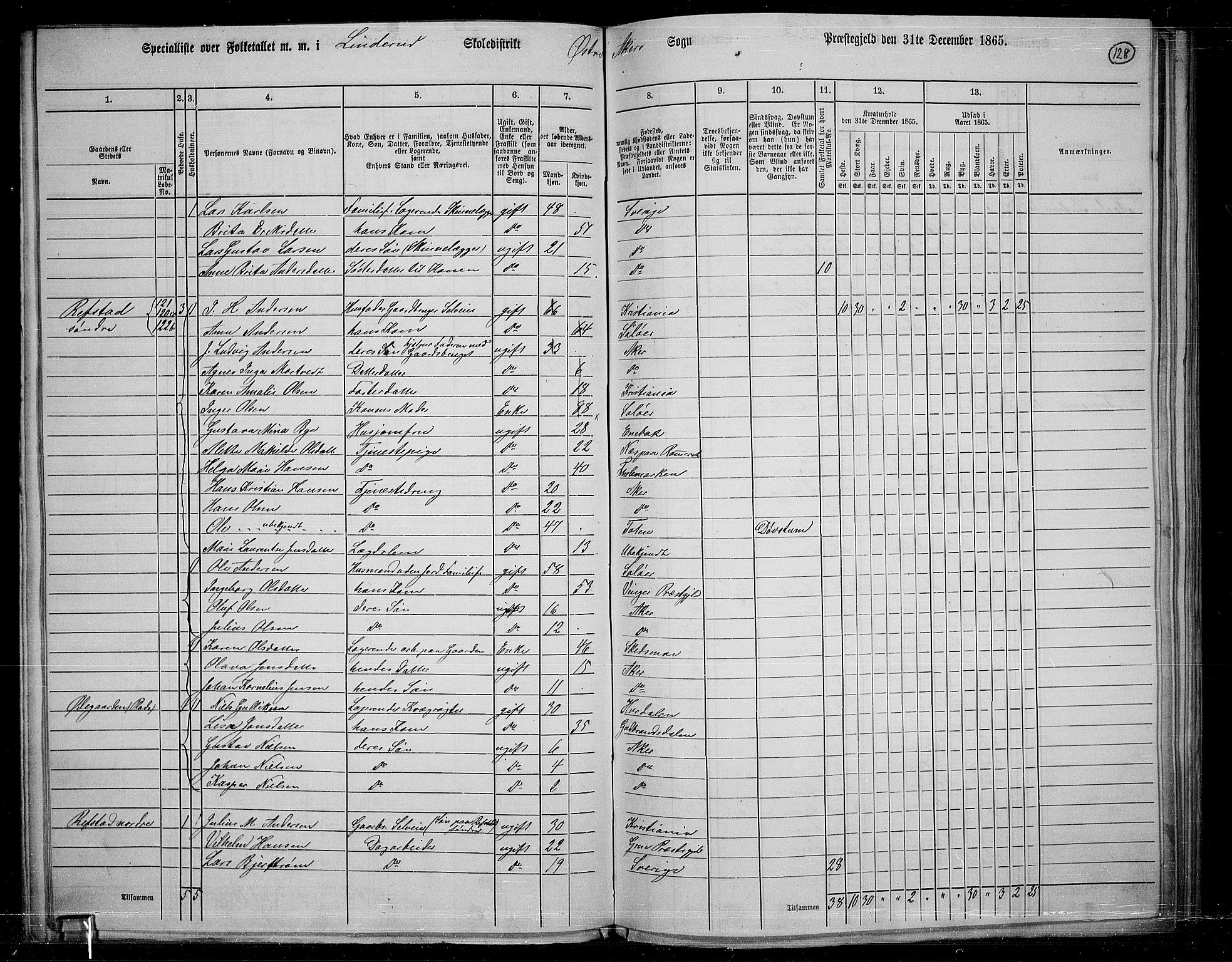 RA, 1865 census for Østre Aker, 1865, p. 122