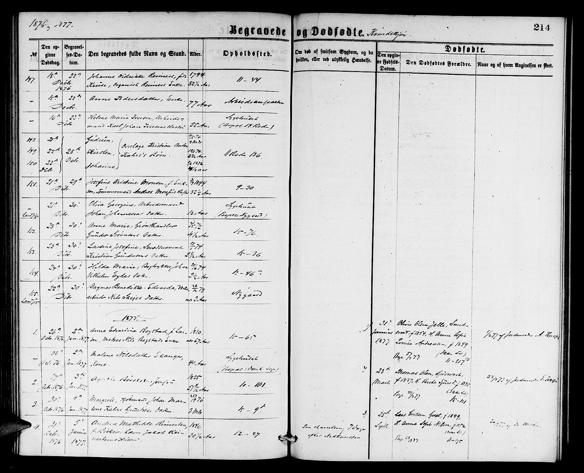 Domkirken sokneprestembete, SAB/A-74801/H/Hab/L0040: Parish register (copy) no. E 4, 1868-1877, p. 214