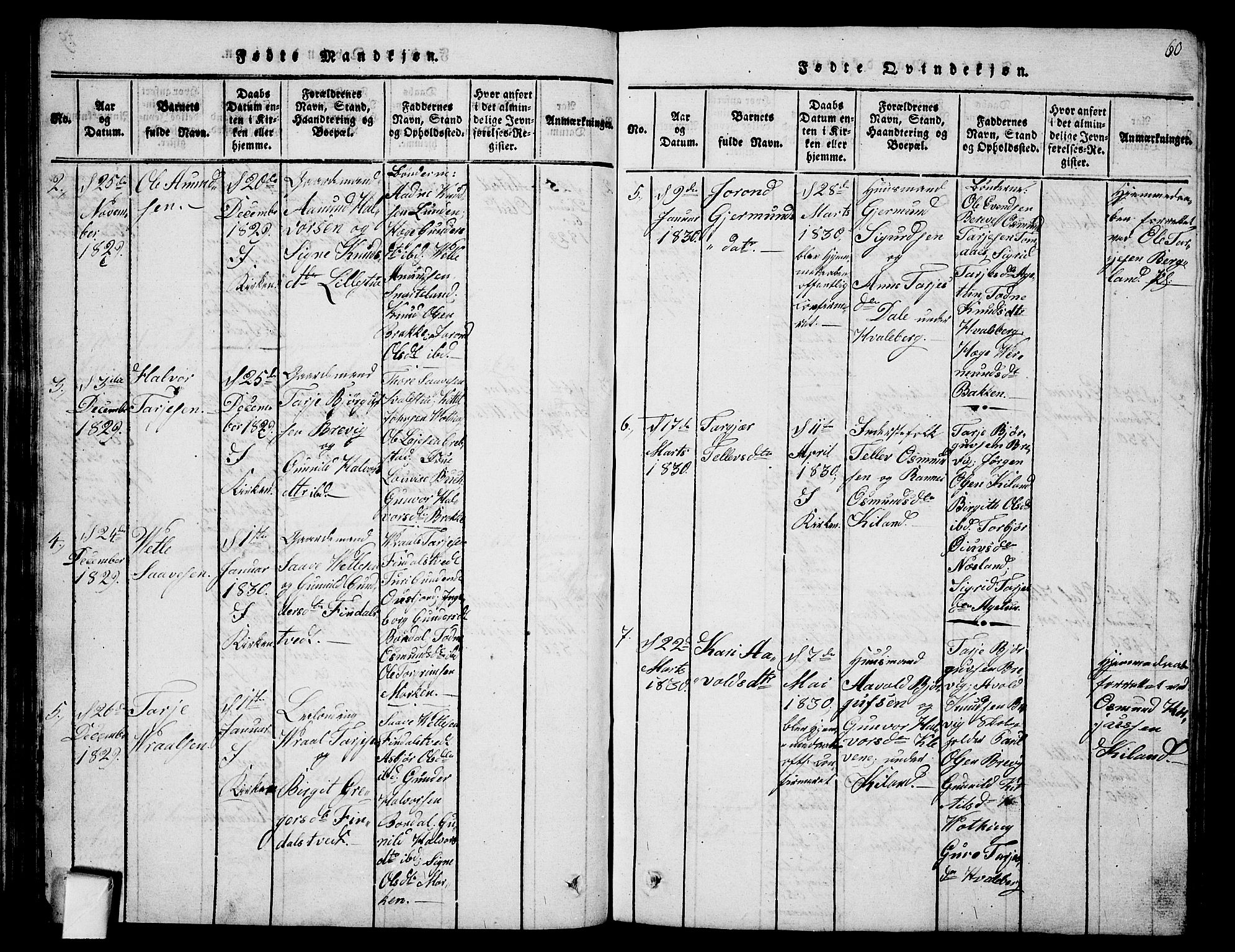 Fyresdal kirkebøker, SAKO/A-263/G/Ga/L0001: Parish register (copy) no. I 1, 1816-1840, p. 60