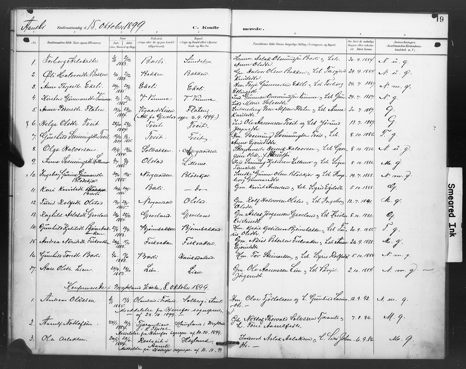Åmli sokneprestkontor, SAK/1111-0050/F/Fa/Fac/L0011: Parish register (official) no. A 11, 1898-1899, p. 19