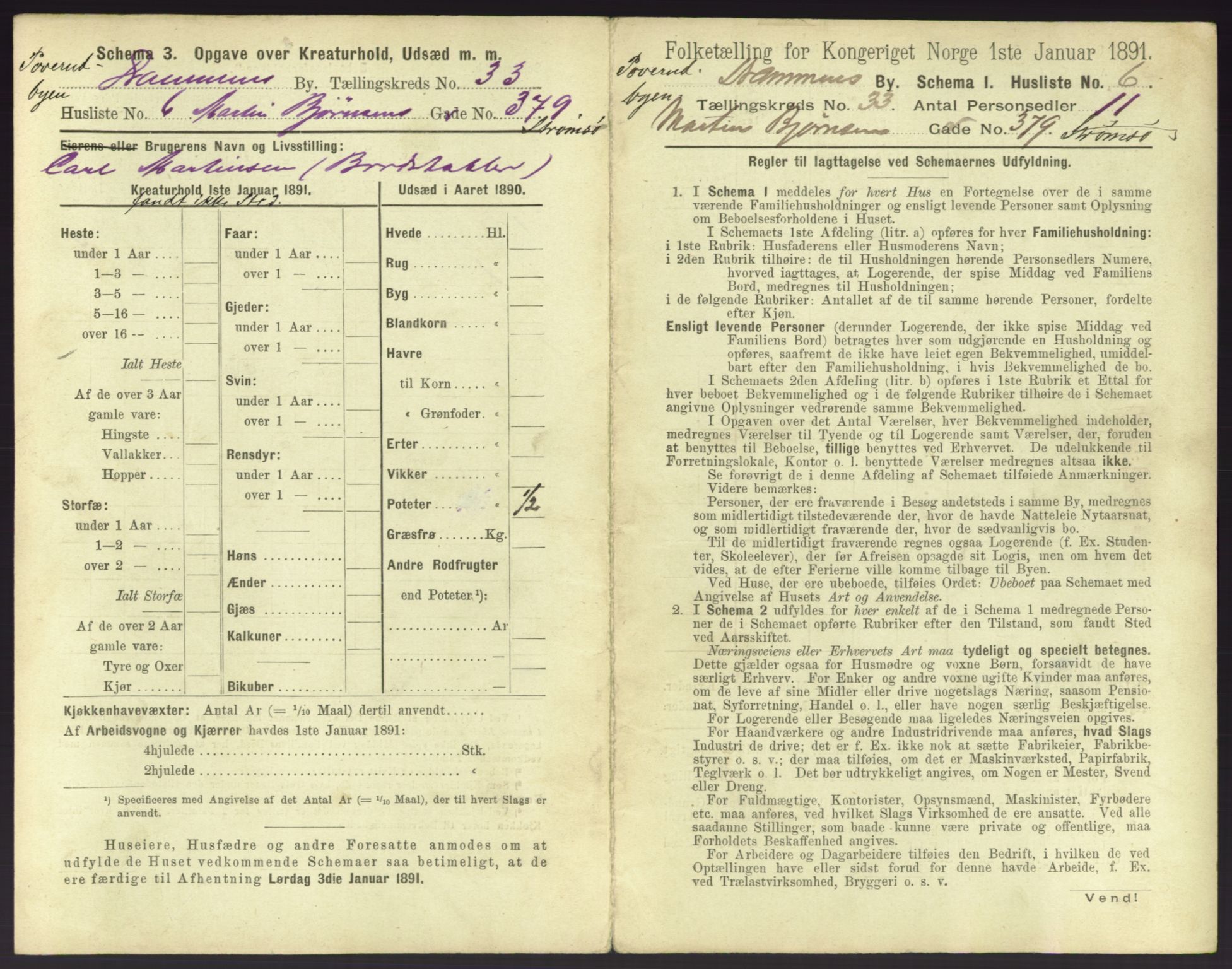 RA, 1891 census for 0602 Drammen, 1891, p. 2881