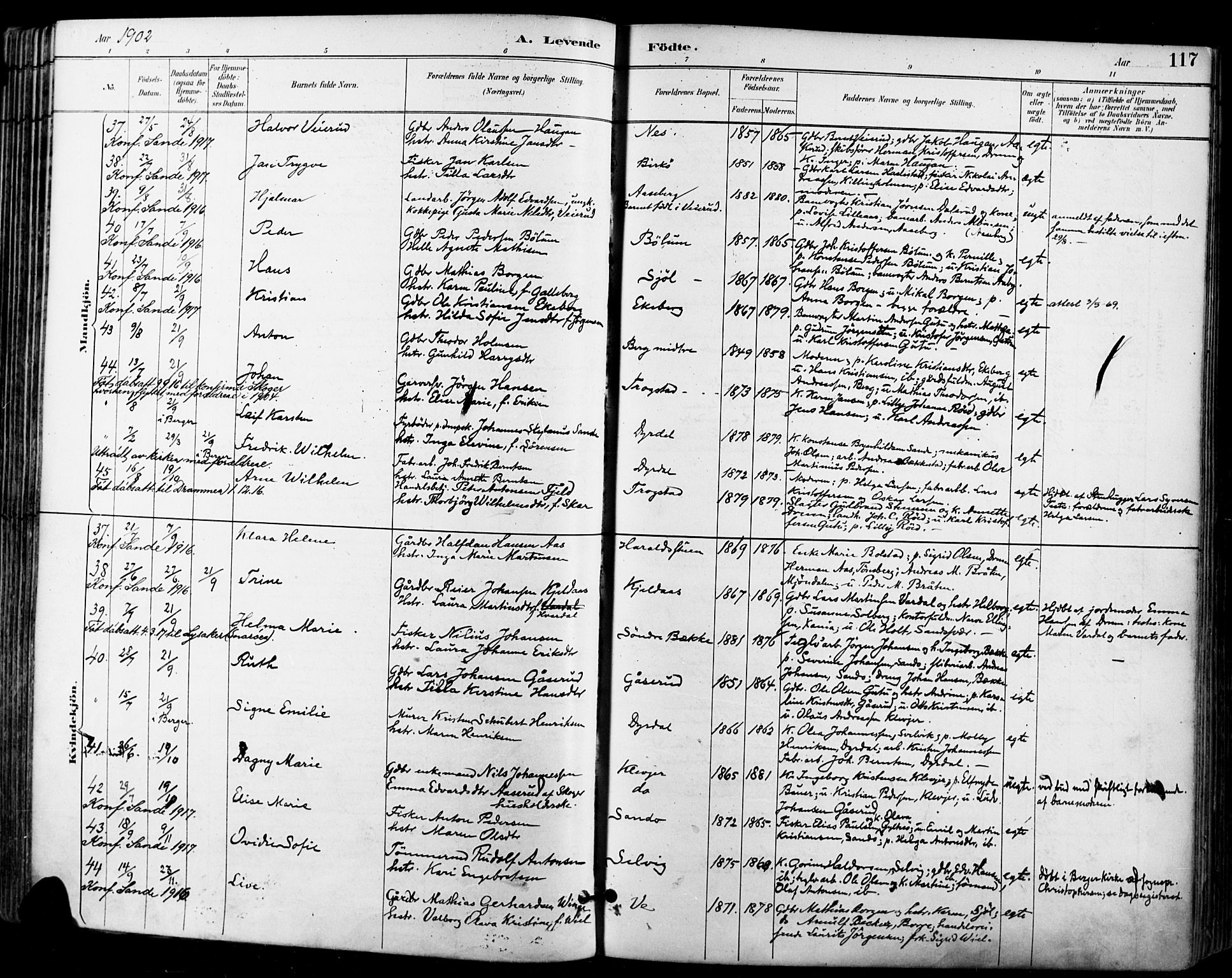 Sande Kirkebøker, AV/SAKO-A-53/F/Fa/L0007: Parish register (official) no. 7, 1888-1903, p. 117