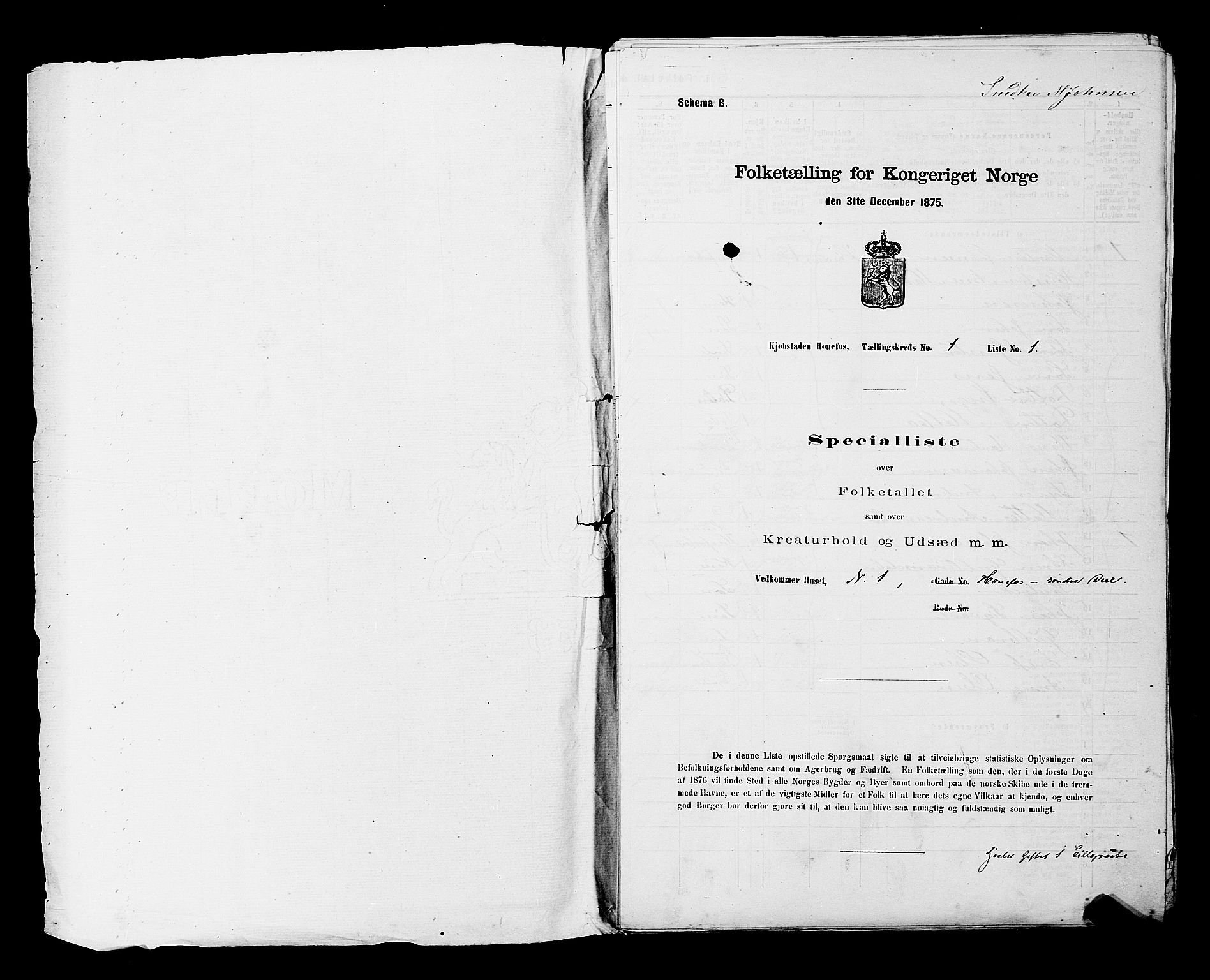 SAKO, 1875 census for 0601B Norderhov/Hønefoss, 1875, p. 12