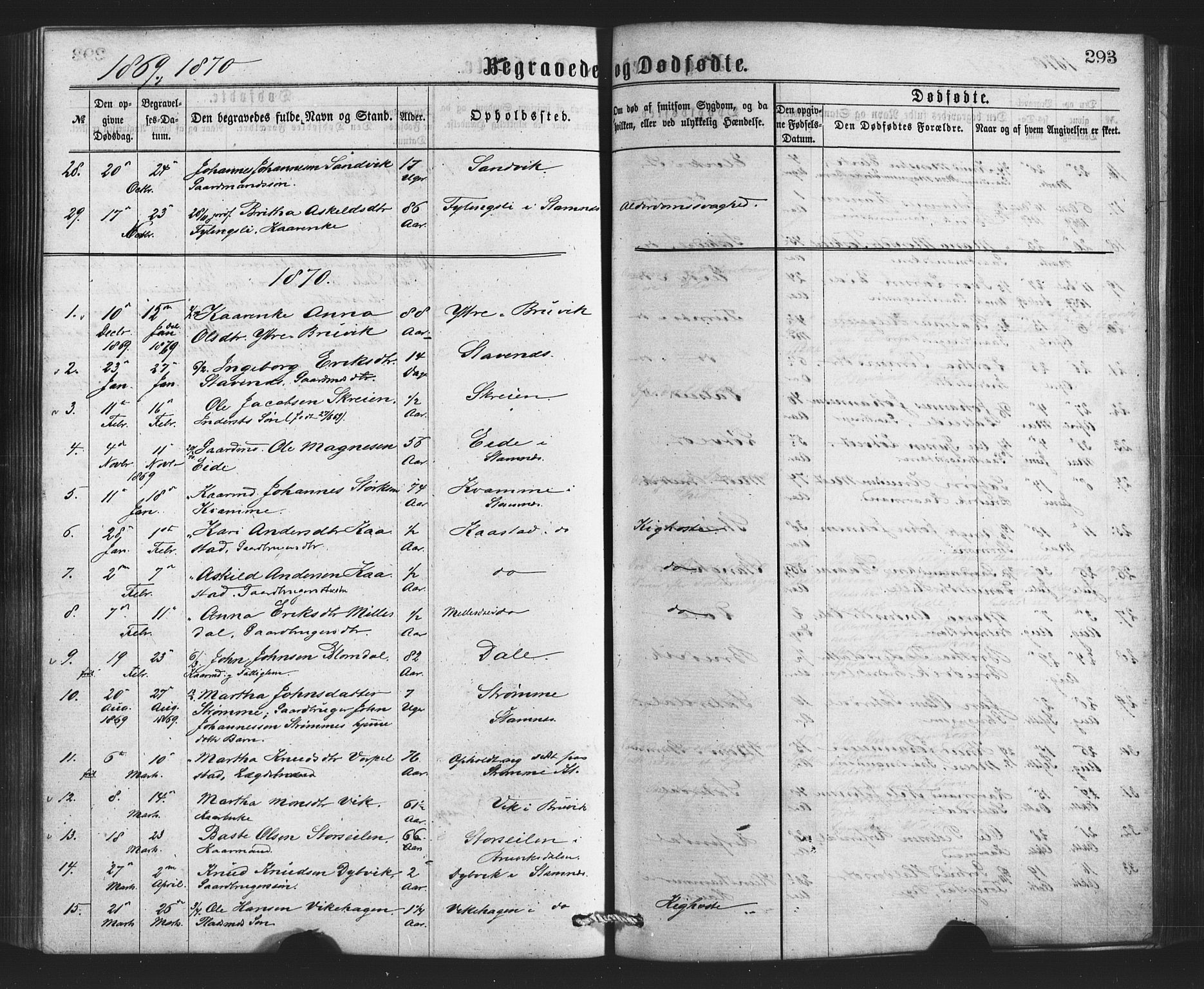 Bruvik Sokneprestembete, SAB/A-74701/H/Haa: Parish register (official) no. A 1, 1869-1877, p. 293