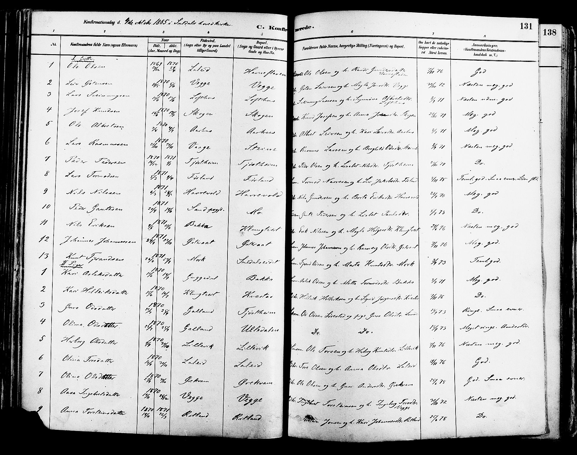 Suldal sokneprestkontor, AV/SAST-A-101845/01/IV/L0011: Parish register (official) no. A 11, 1878-1900, p. 131