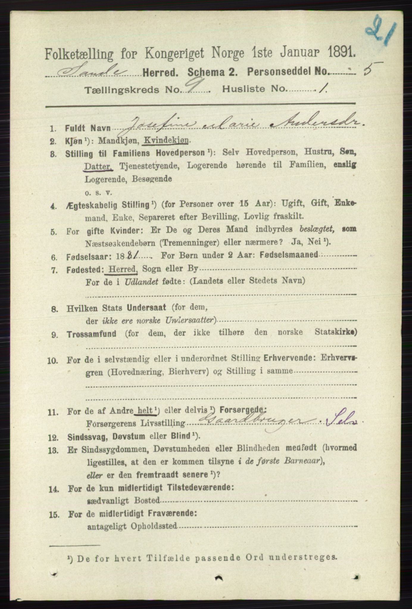 RA, 1891 census for 0713 Sande, 1891, p. 3936